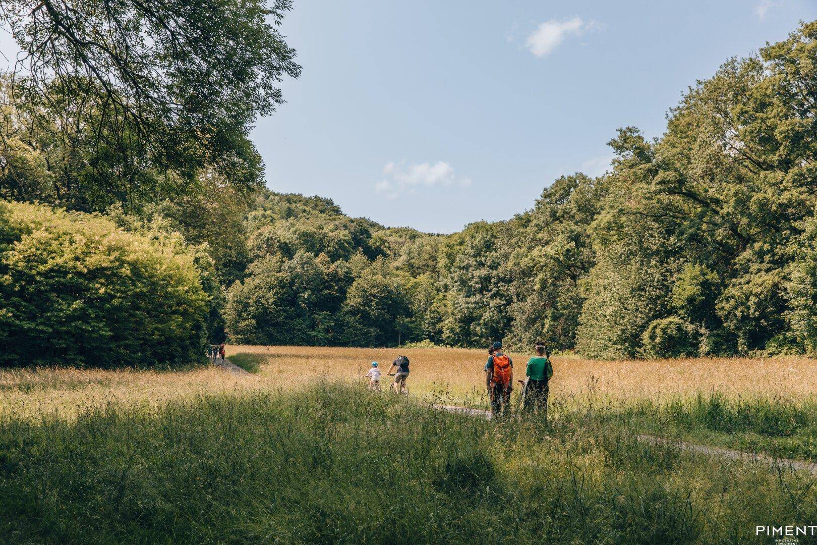 Wanderer auf einem Pfad durch ein weites Feld, umgeben von dichtem Wald unter blauem Himmel.