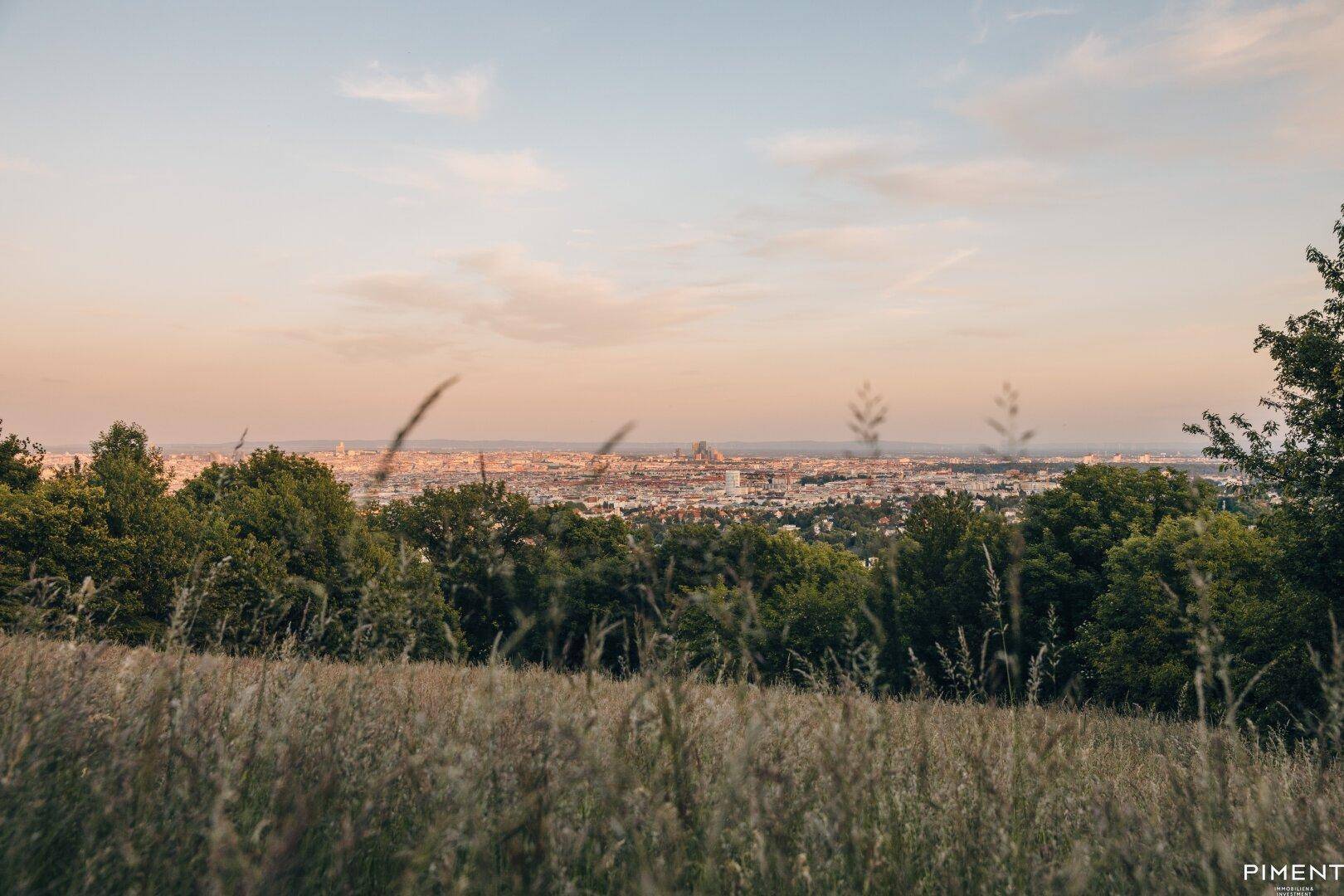 Panoramablick auf eine Stadt in der Ferne, gesehen über Felder und Bäume bei Sonnenuntergang.