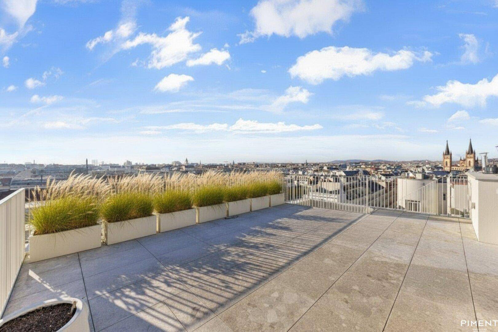 Weitläufige Dachterrasse mit Stadtblick und dekorativen Gräsern in Pflanzkübeln.