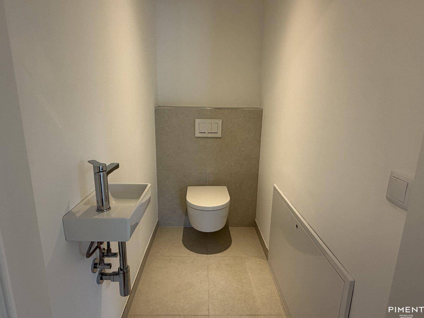 Kleines Gäste-WC mit wandhängender Toilette und modernem Handwaschbecken.
