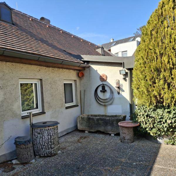 Außenansicht des Hauses mit Fenstern, einem Steintrog und üppiger Bepflanzung im Vordergrund.