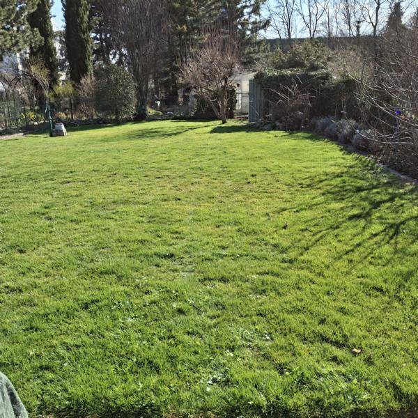 Weitläufige, gepflegte Rasenfläche im Garten unter blauem Himmel.