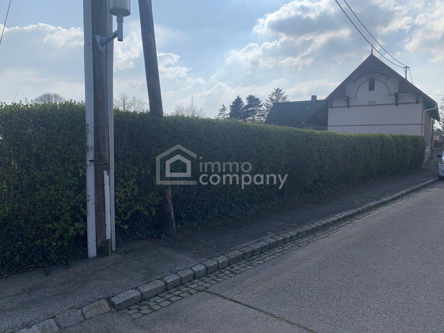 Straße mit dichter Hecke und einem Gebäude im Hintergrund, daneben ein Strommast.