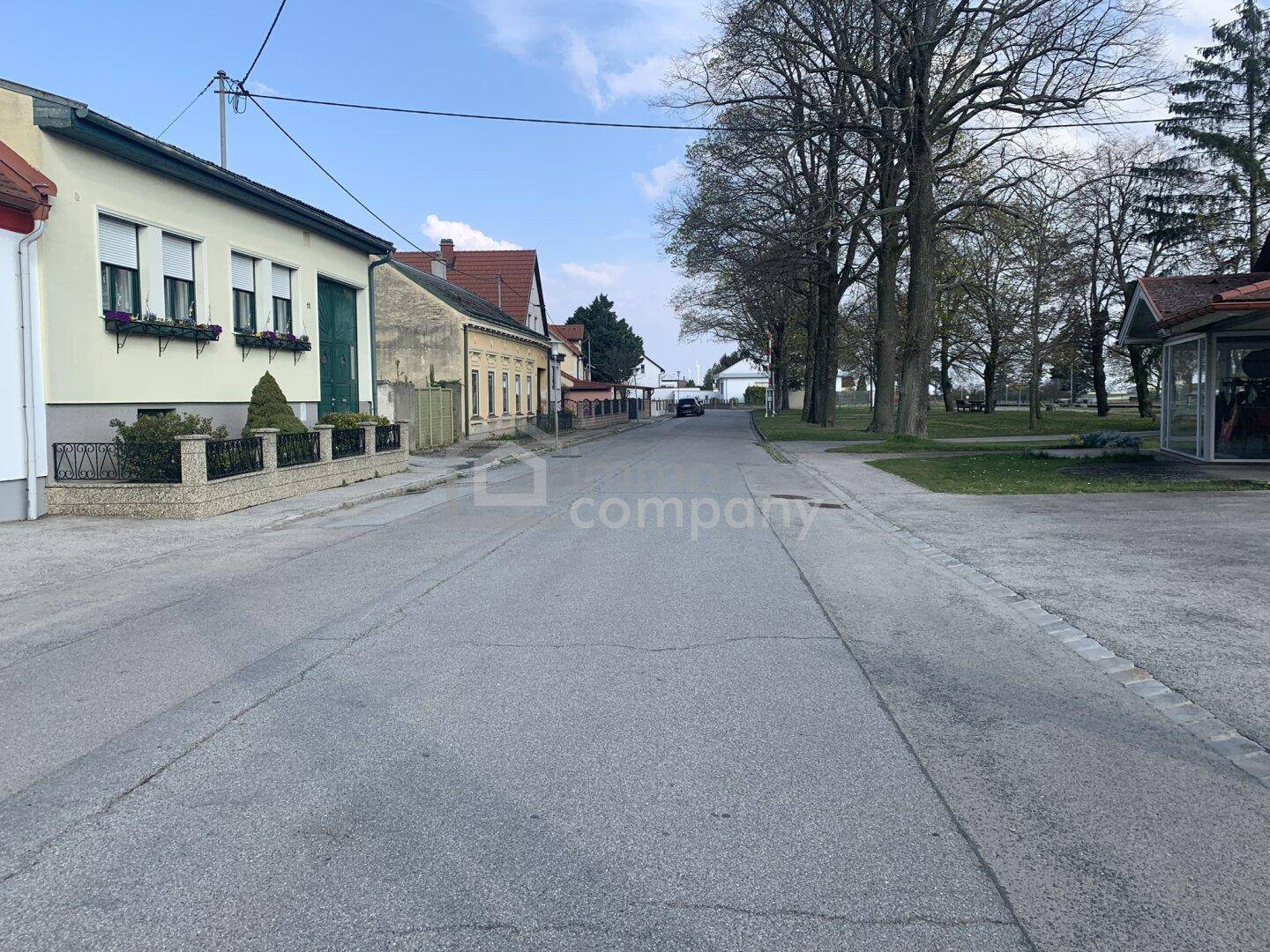 Dorfstraße mit Häusern auf der linken Seite und Bäumen sowie Grünflächen auf der rechten Seite.