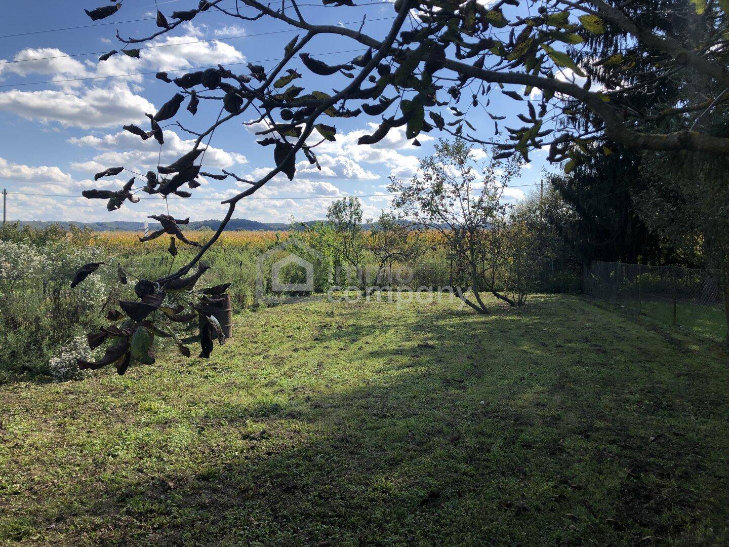 Großer Gartenbereich mit Rasenfläche und Bäumen, umgeben von Natur und Weinbergen.
