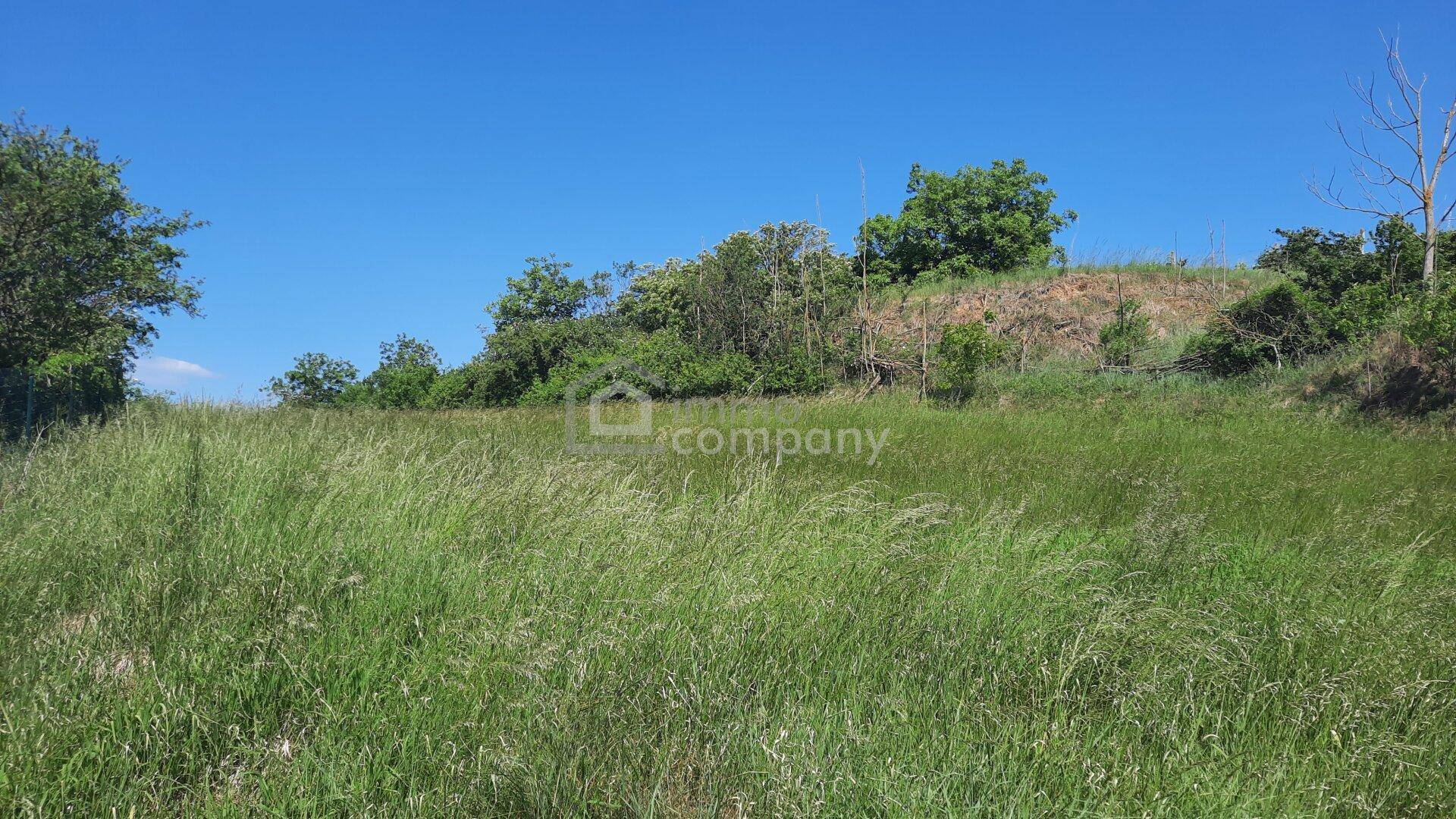 Offenes Feld mit üppigem Grün und bewaldeten Hügeln im Hintergrund an einem sonnigen Tag.