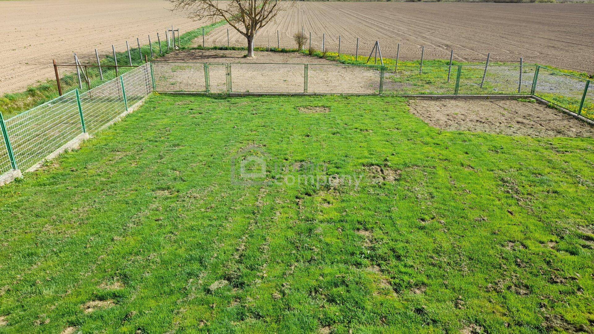 Garten 3
