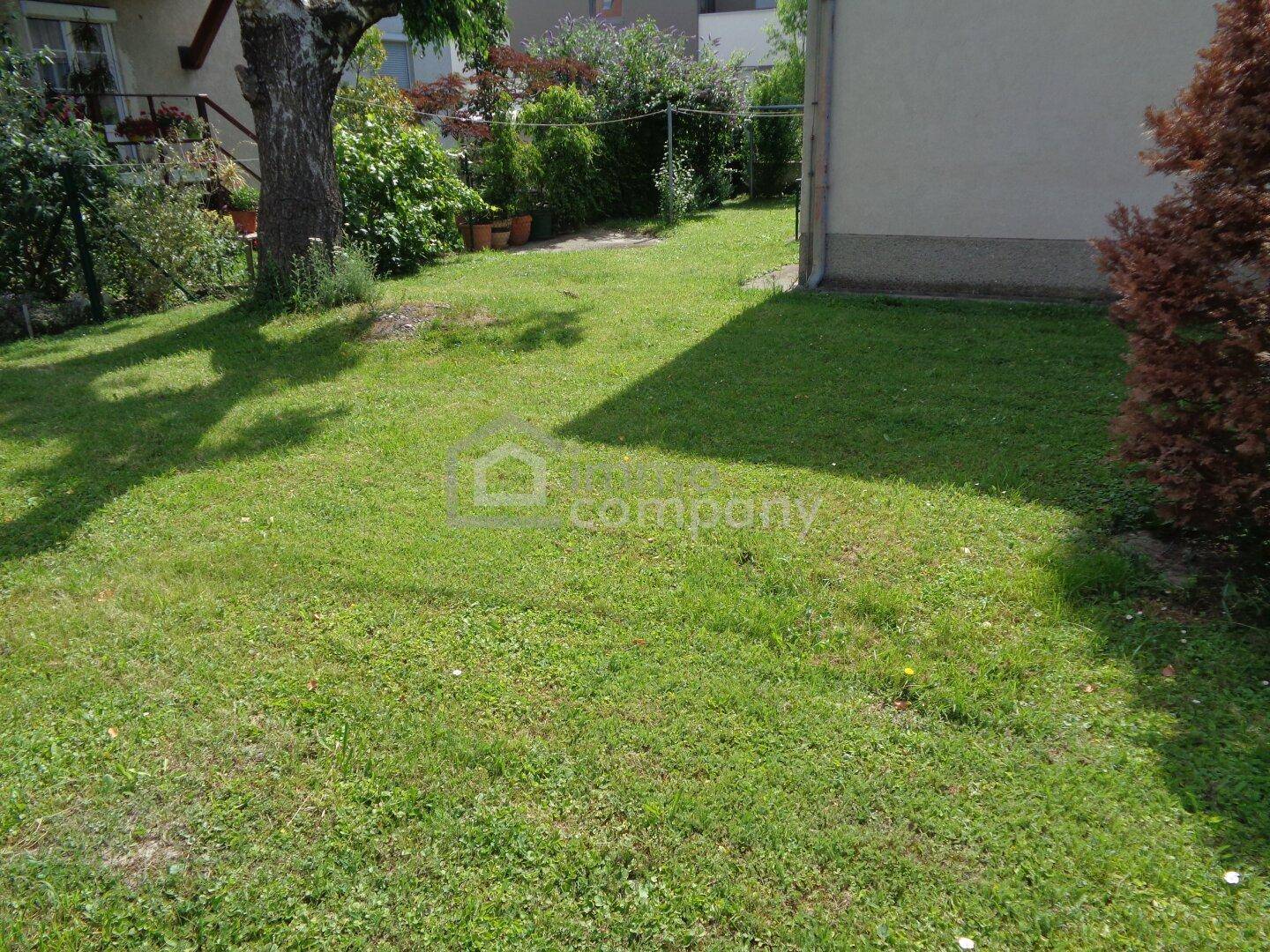 Gepflegter Rasenbereich im Garten mit Bäumen und Sträuchern, ideal zum Entspannen.
