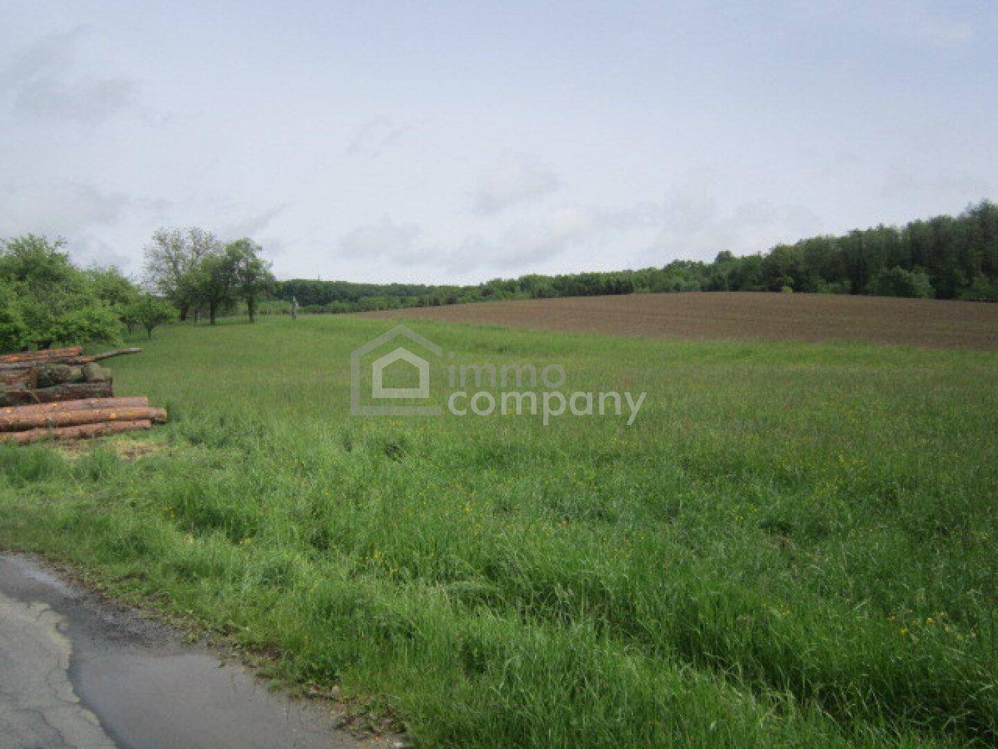 Weitläufige grüne Landschaft mit Ackerland, Wald und Holzstapel am Wegrand unter bewölktem Himmel.