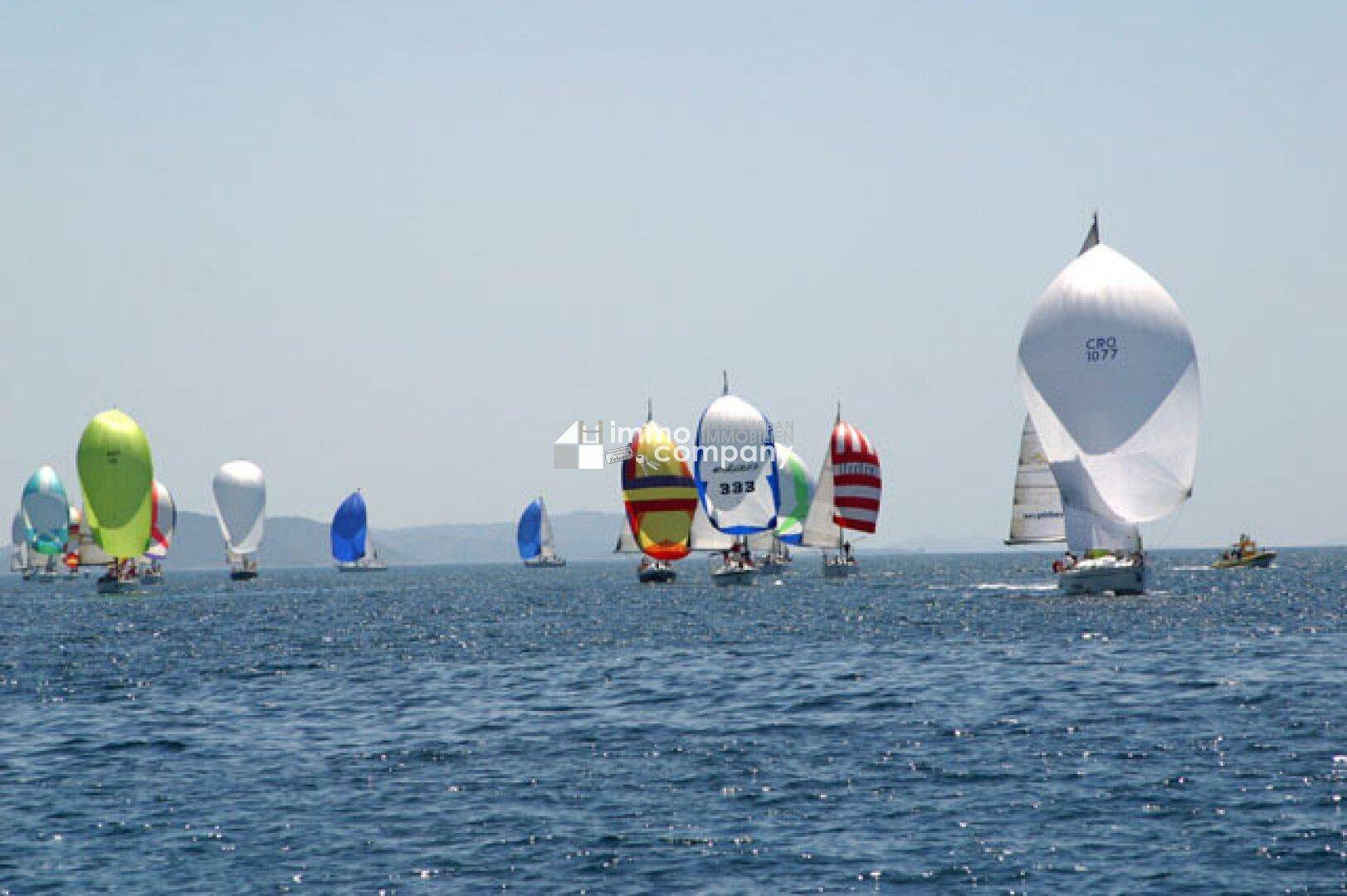 segelboot regatta2