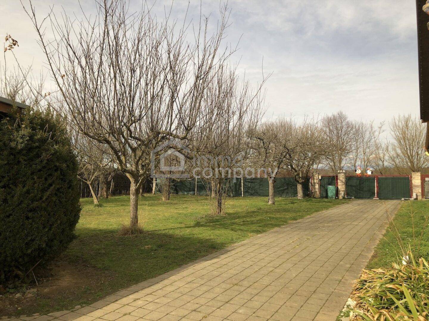 Gepflasterte Auffahrt durch einen grünen Garten mit Bäumen und Hecken.