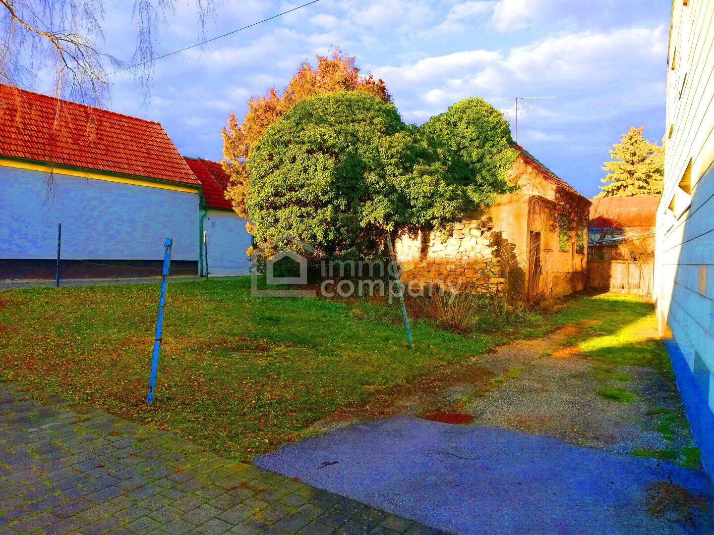Blick auf das Grundstück mit Rasenfläche, alten Gebäuden und Bäumen unter einem bewölkten Himmel.