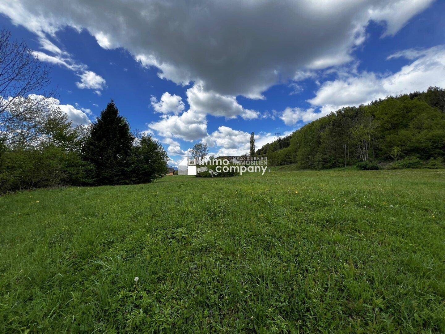 Baugrund Ludmannsdorf 3