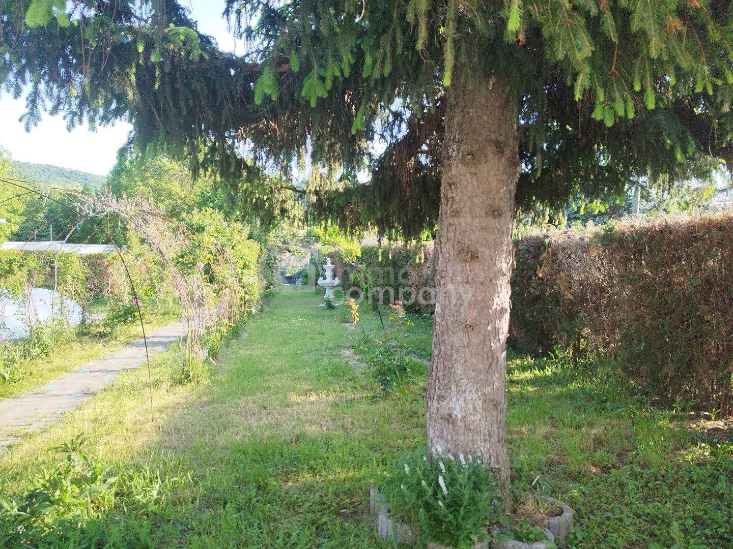 Blick in den Garten