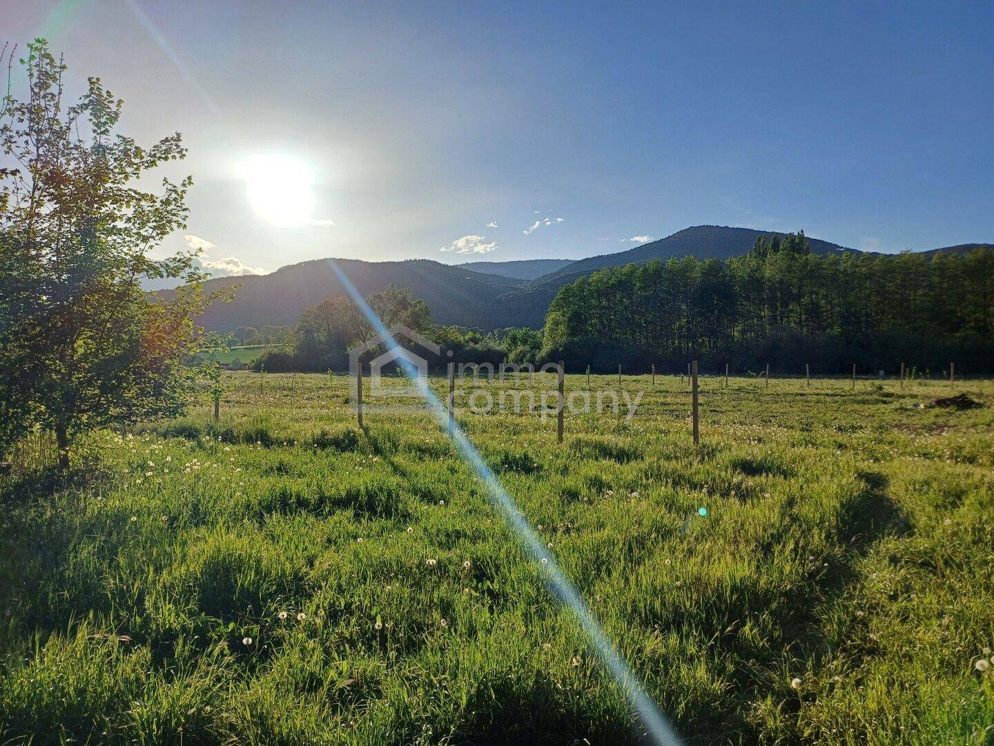 Sonniges grünes Feld mit Zaun und bewaldeten Bergen in der Ferne.