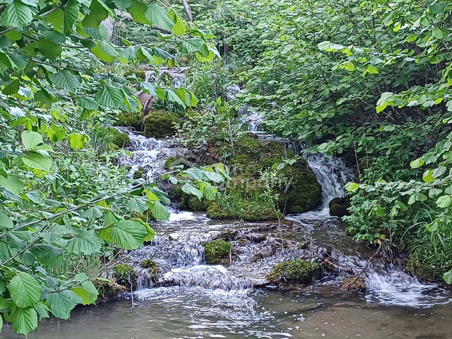 Kleiner natürlicher Wasserfall über moosbewachsene Steine, umgeben von dichtem Grün.