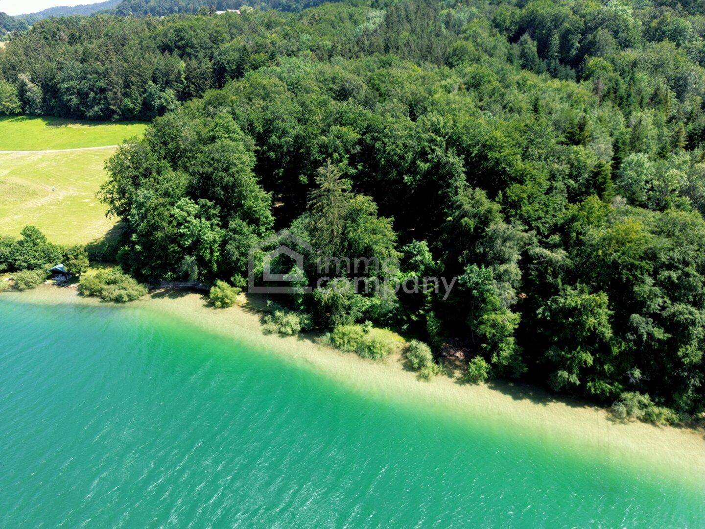 Luftaufnahme des Seeufers mit hellem Sandstrand, dichtem Wald und dem tiefblauen Wasser des Sees.