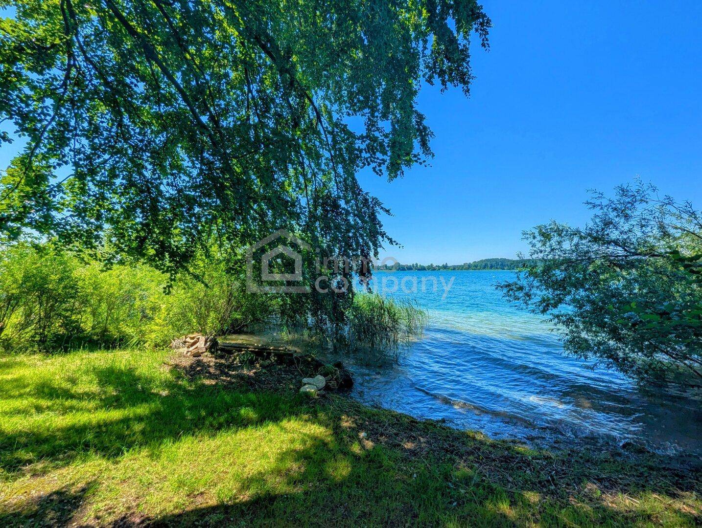 Blick vom schattigen Ufer unter einem großen Baum auf den glitzernden See und die gegenüberliegende Landschaft.