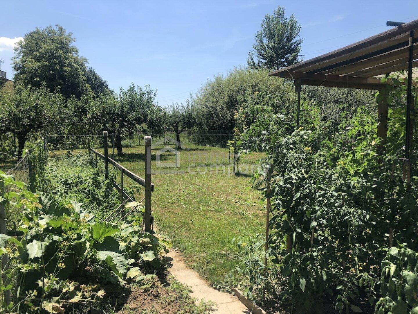 Großer Gartenbereich mit Obstbäumen und einem Zaun, ideal für den Anbau von Gemüse und Obst.