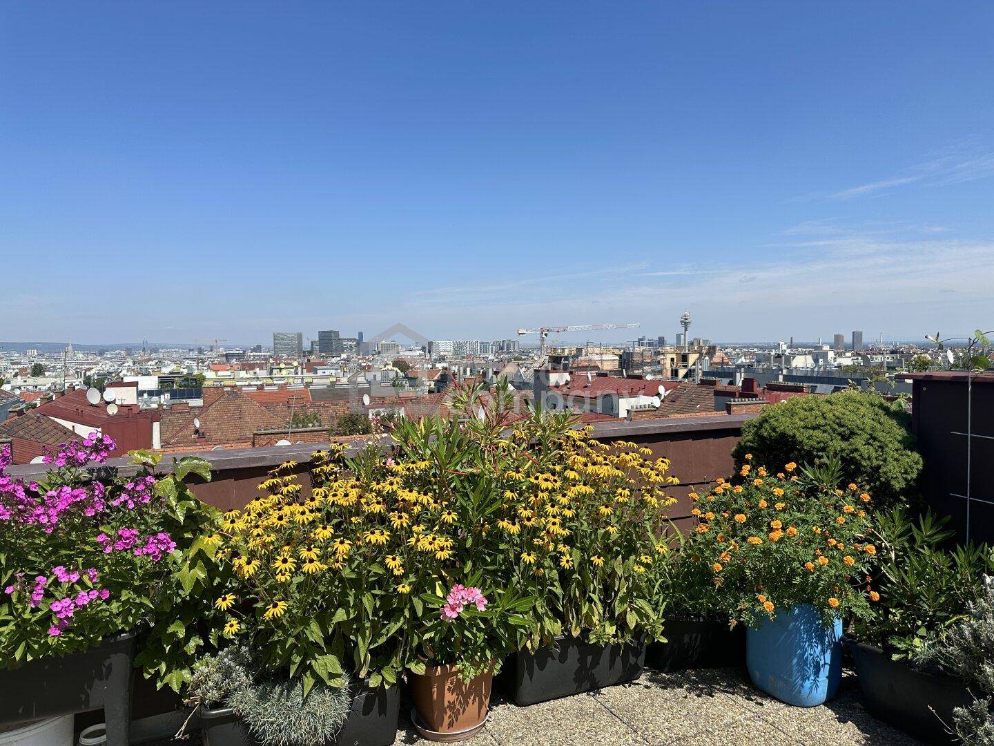 Dachterrasse mit Pflanzen und weitem Blick über die Stadt.