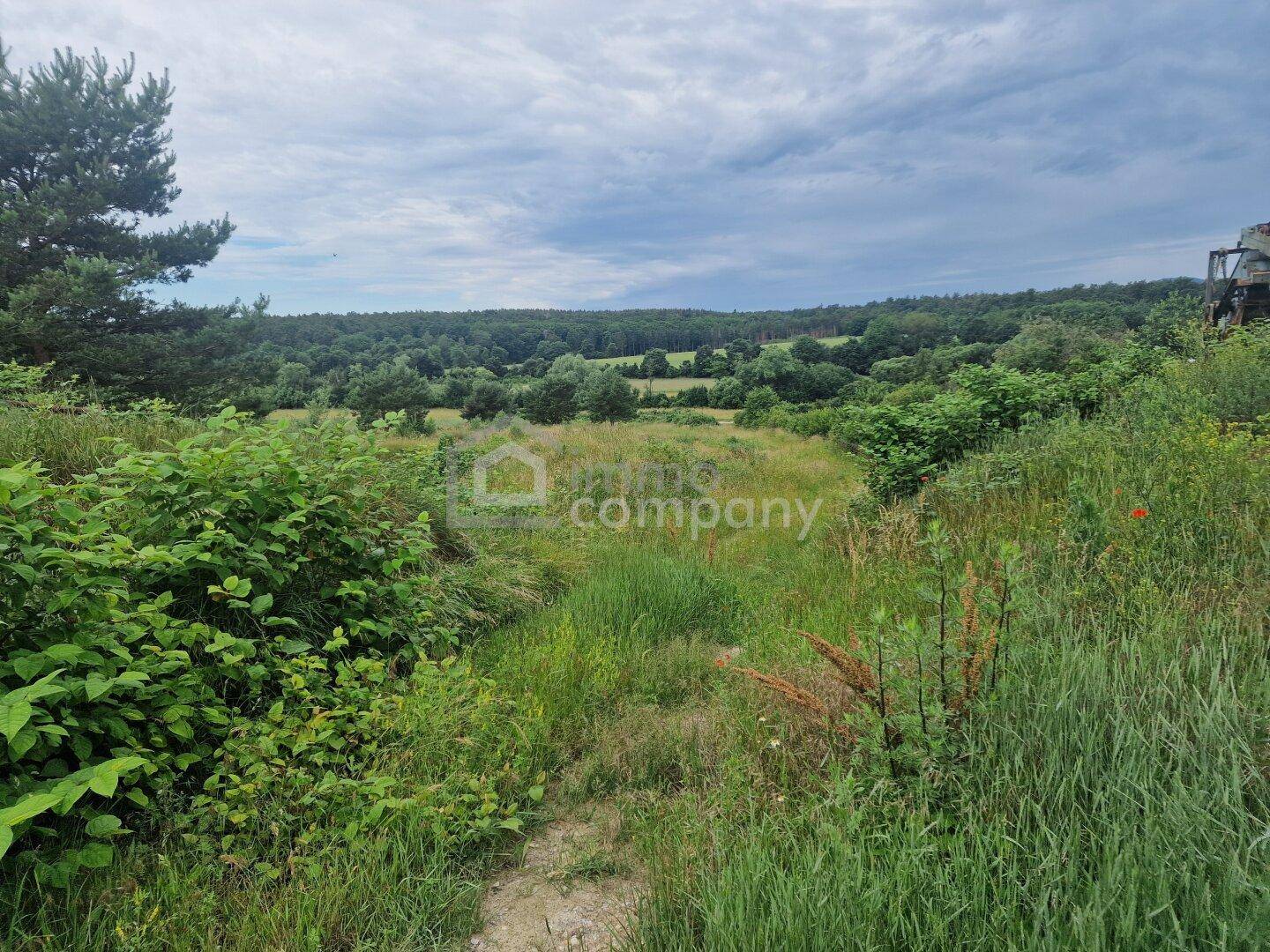 Weitläufige grüne Landschaft mit Bäumen und Sträuchern unter einem bewölkten Himmel.