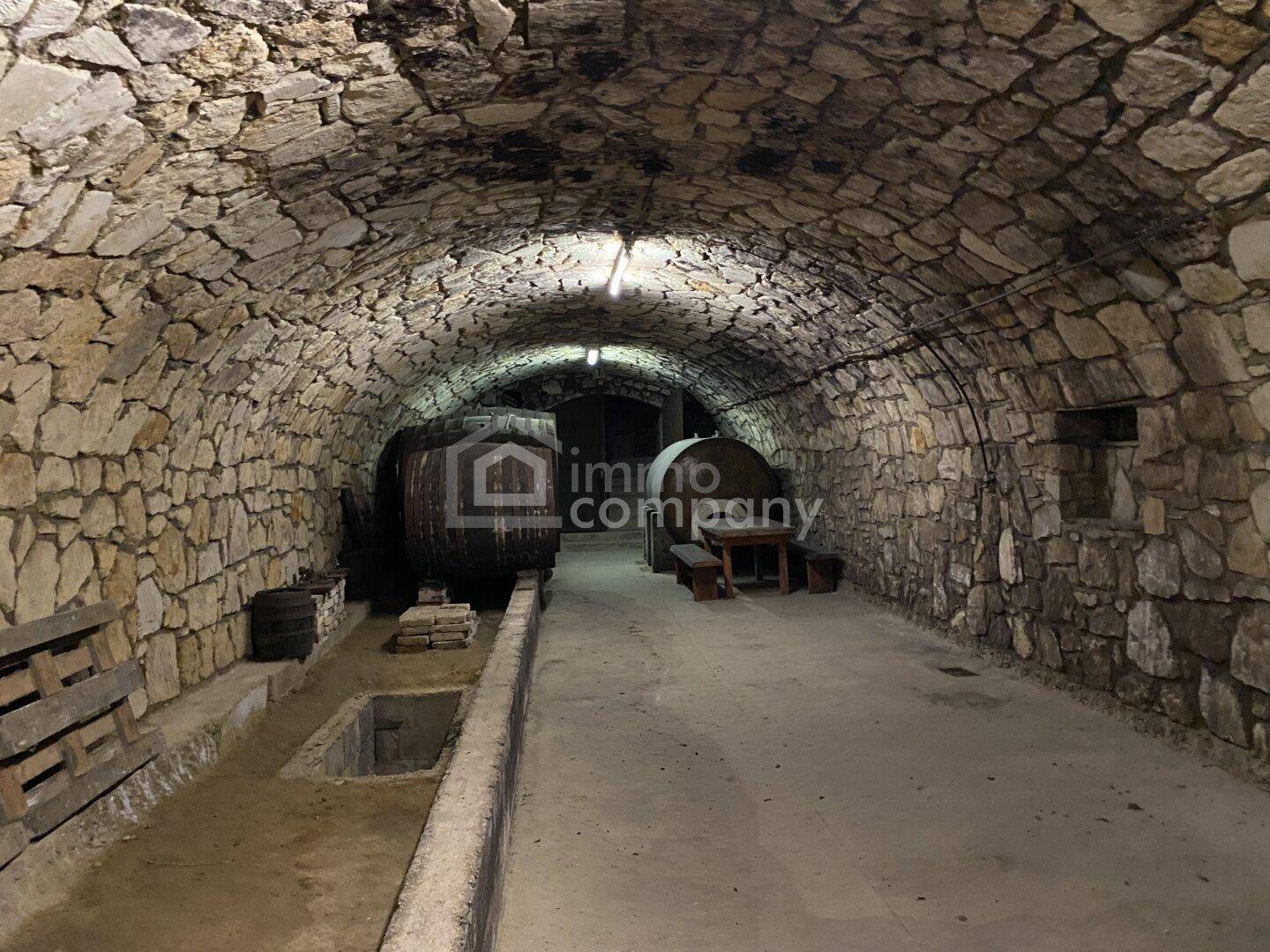 Geräumiger Keller mit Steingewölbe, Betonboden und rustikalem Charme, ideal zur Lagerung.