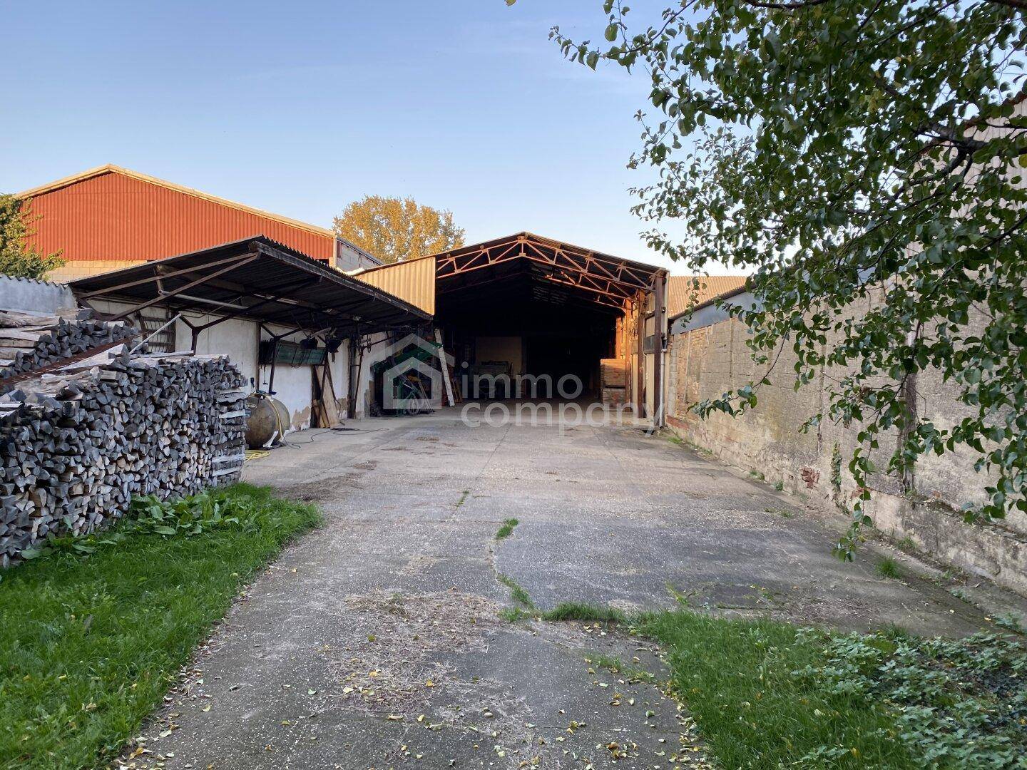 Außenbereich mit Betonweg, gestapeltem Brennholz und großen Scheunen im Hintergrund bei Sonnenuntergang.