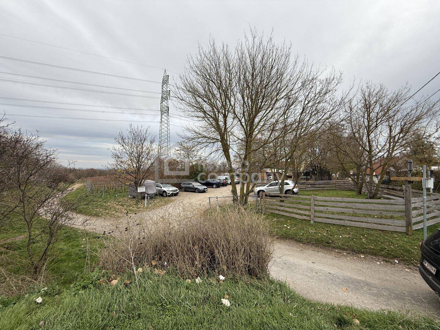 Außenbereich mit geparkten Autos, Bäumen, einem Holzzaun und einer Stromleitung im Hintergrund.