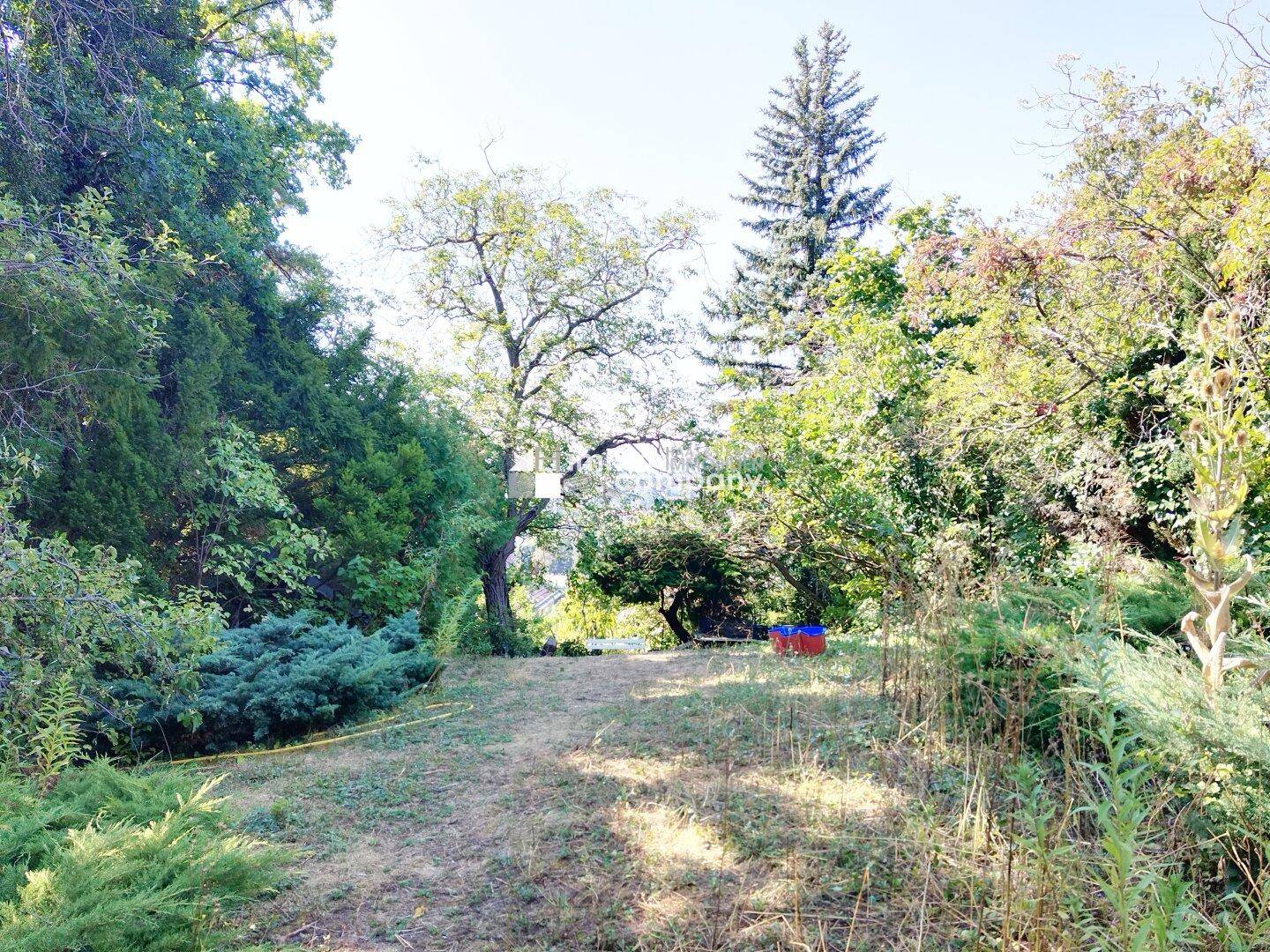 Blick in den geschützten Garten