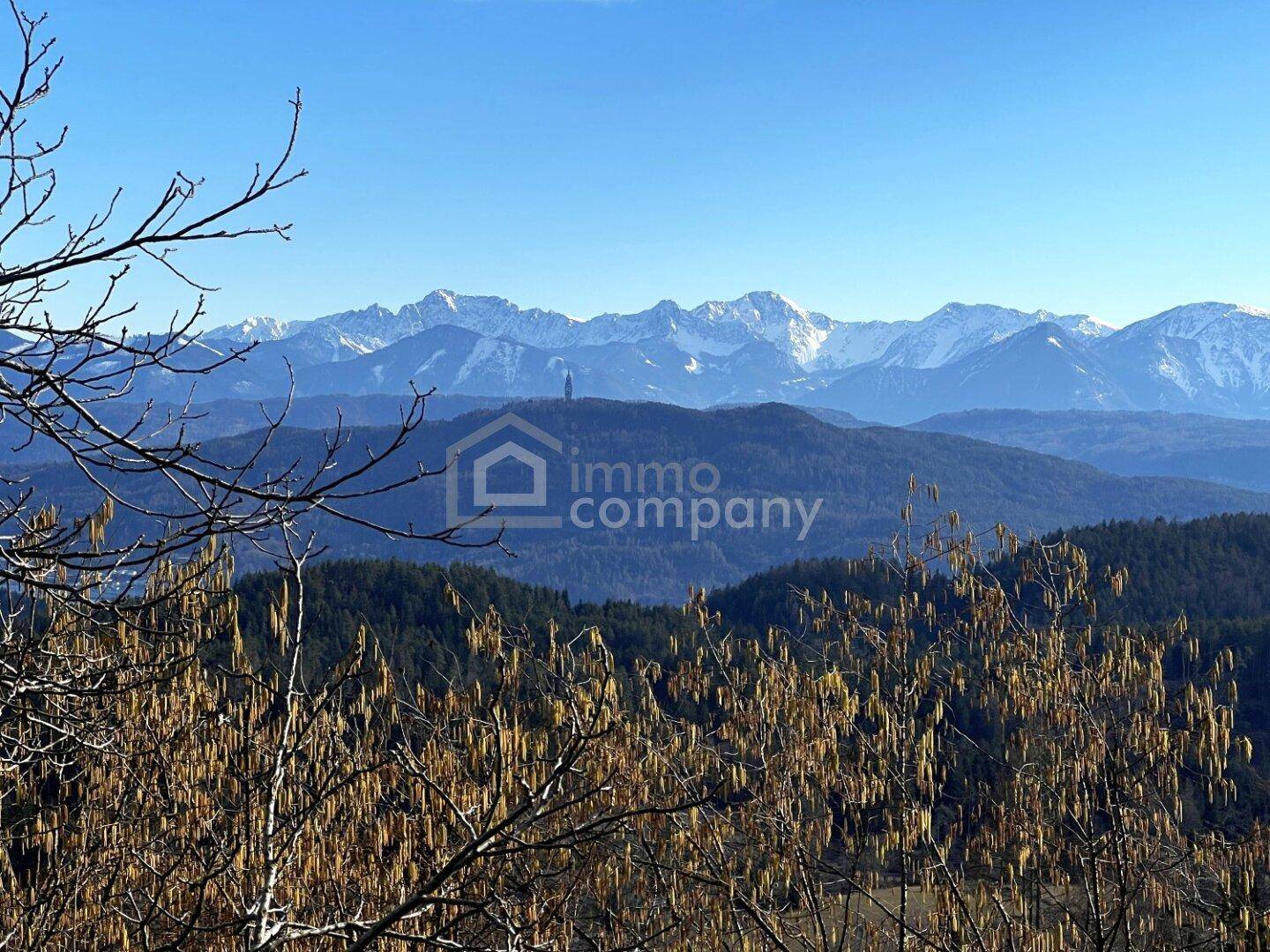 Panoramablick auf schneebedeckte Berge und bewaldete Hügel unter blauem Himmel.