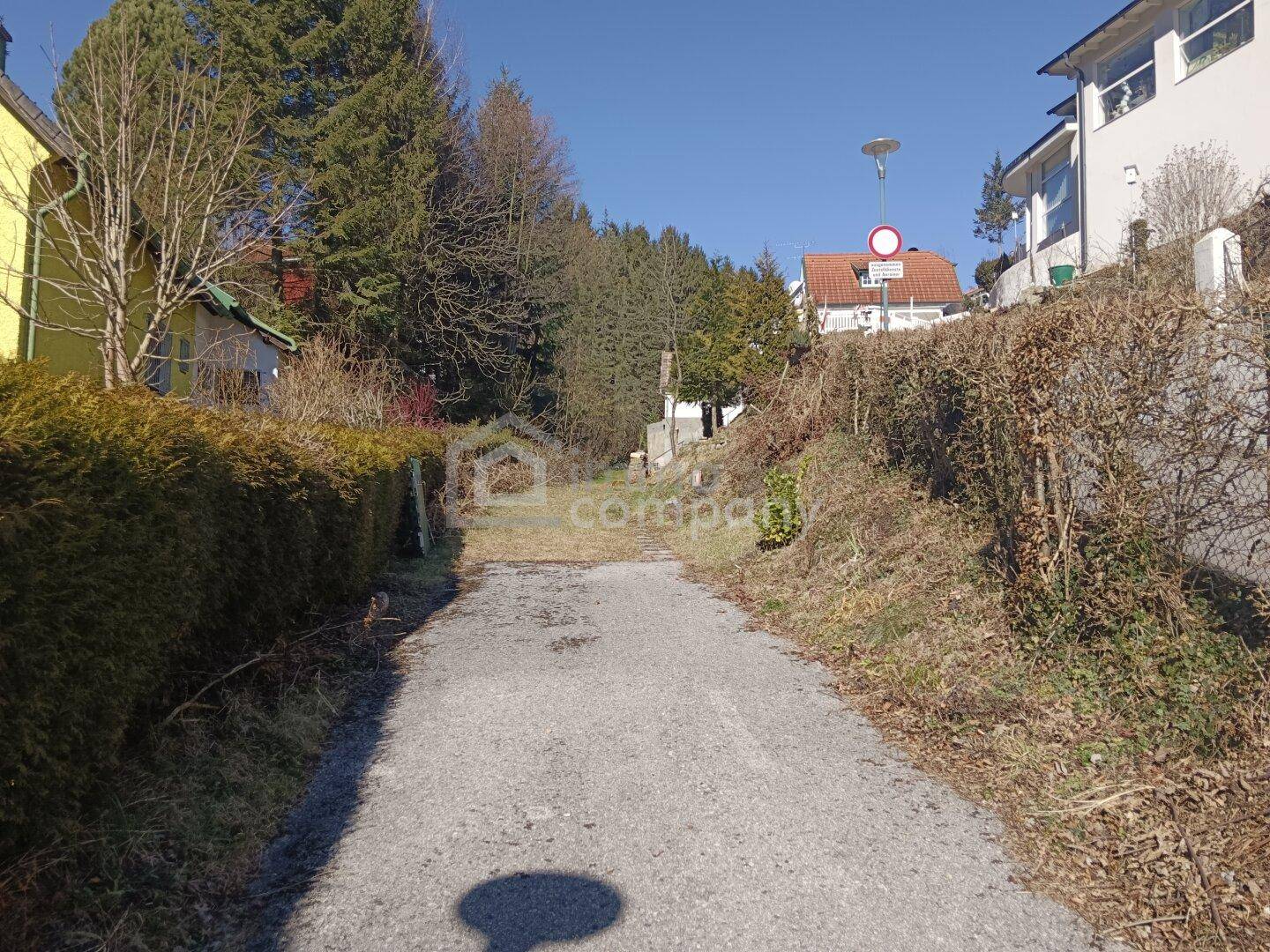 Zufahrtsweg zum Grundstück, umgeben von Hecken und Bäumen in ländlicher Umgebung.