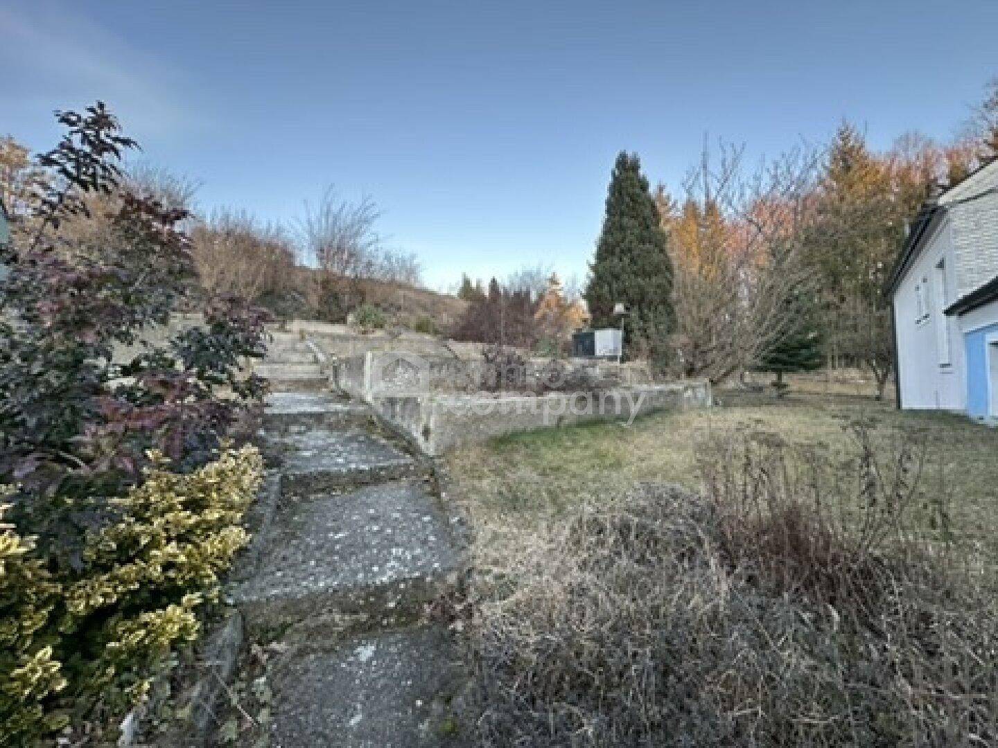 Außenbereich mit Steintreppe und naturbelassenem Garten, umgeben von Bäumen und Sträuchern.