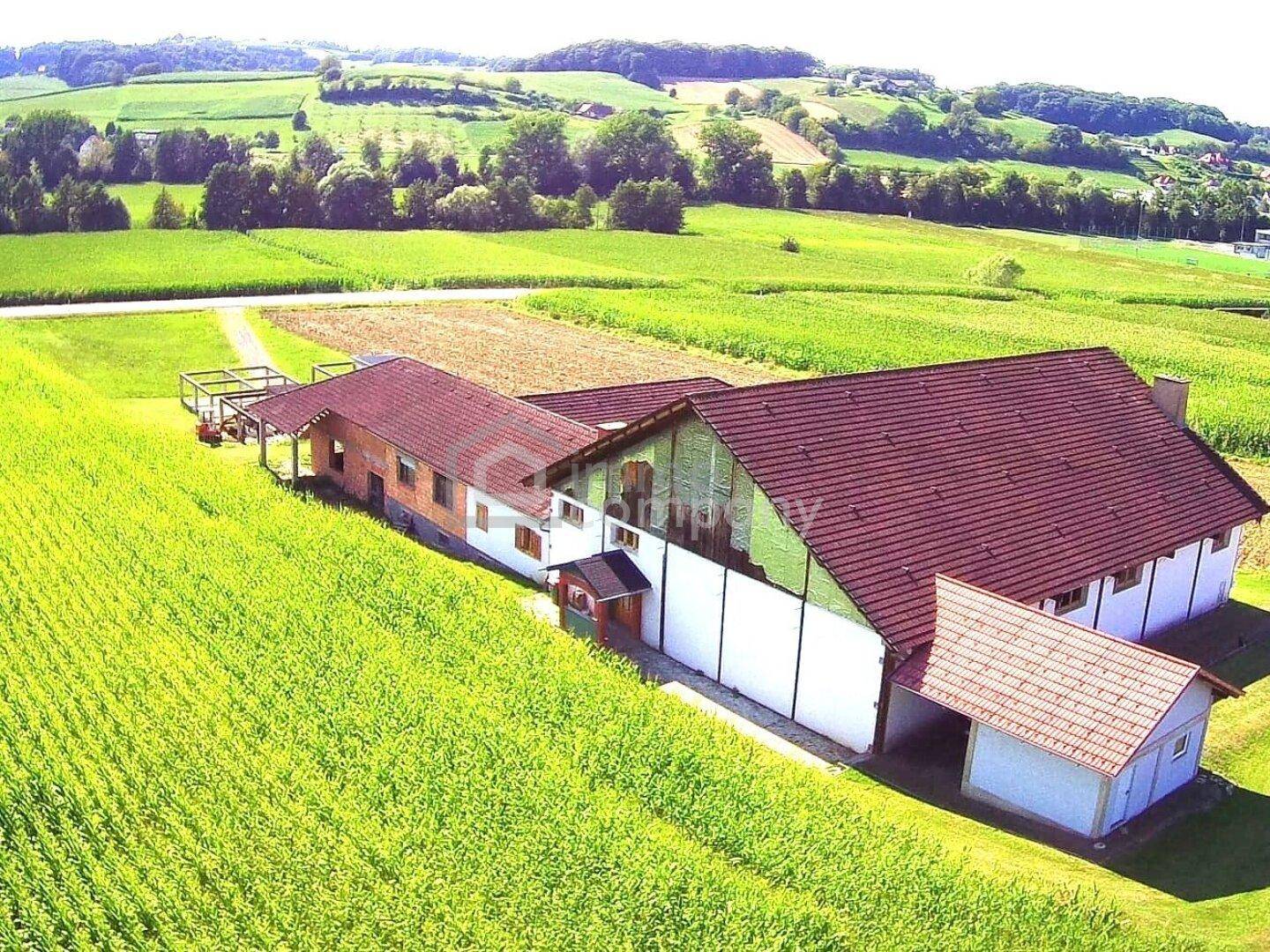 Platz zur Entfaltung! Ca. 818m² Anwesen mit Potential - Widok 4