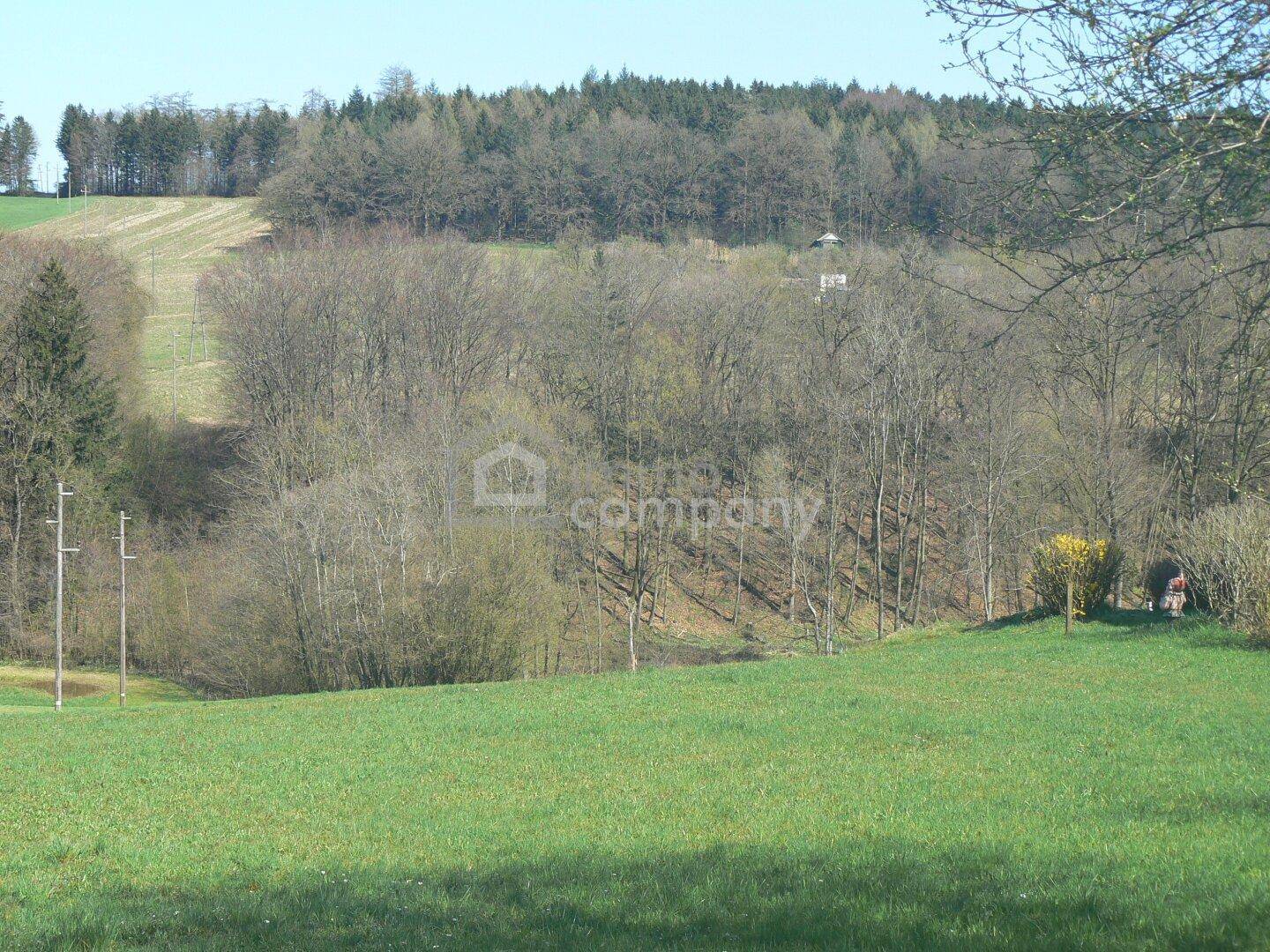 Weitläufige Landschaft mit grünen Feldern und bewaldeten Hügeln unter einem sonnigen Himmel.