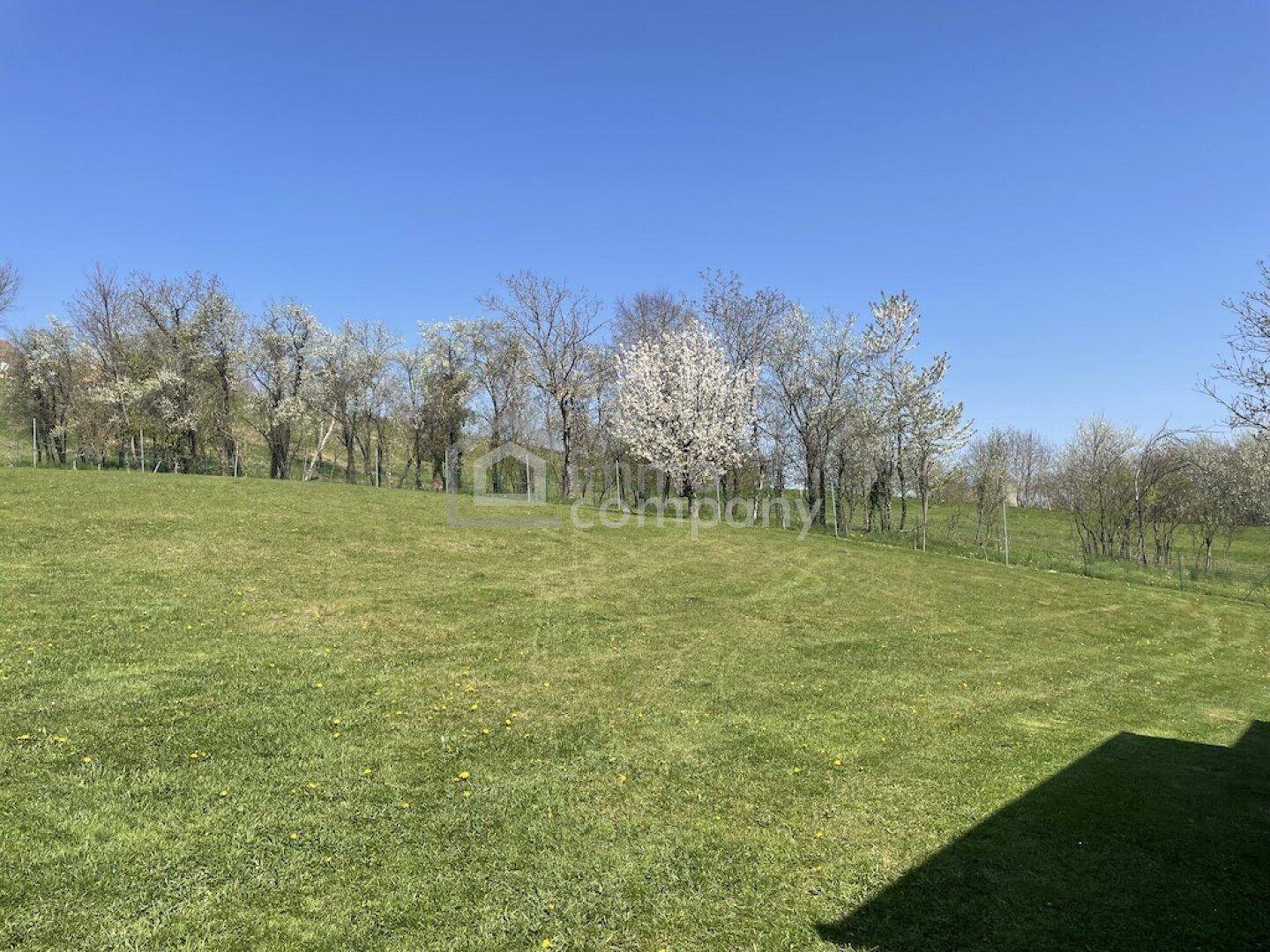 Ausgedehnte Grünfläche mit Bäumen im Hintergrund unter blauem Himmel.