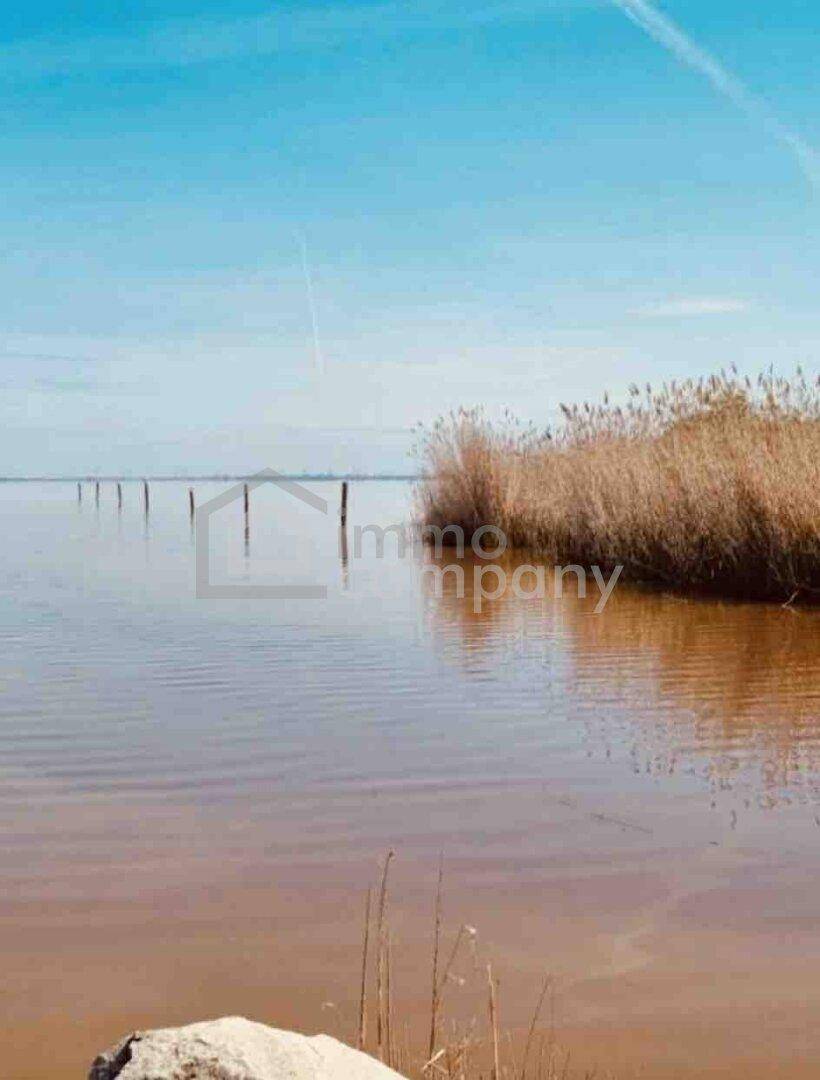 Malerischer Blick auf einen See mit Schilf und weitem Horizont unter blauem Himmel.