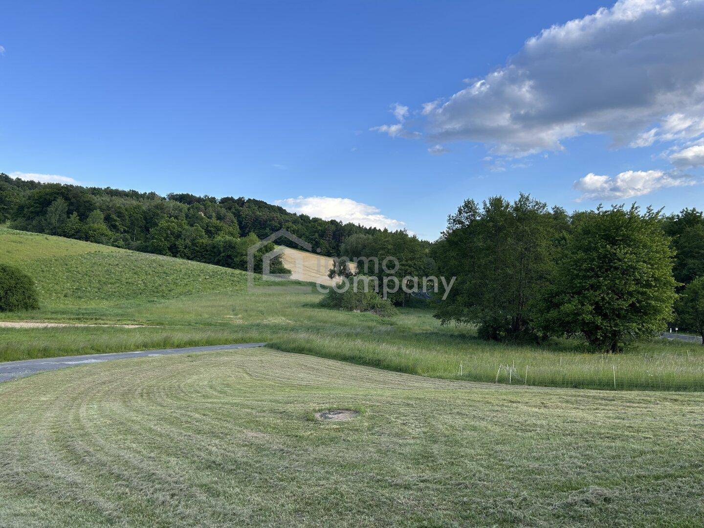 Weitläufige grüne Landschaft mit Feldern und Bäumen unter einem strahlend blauen Himmel.