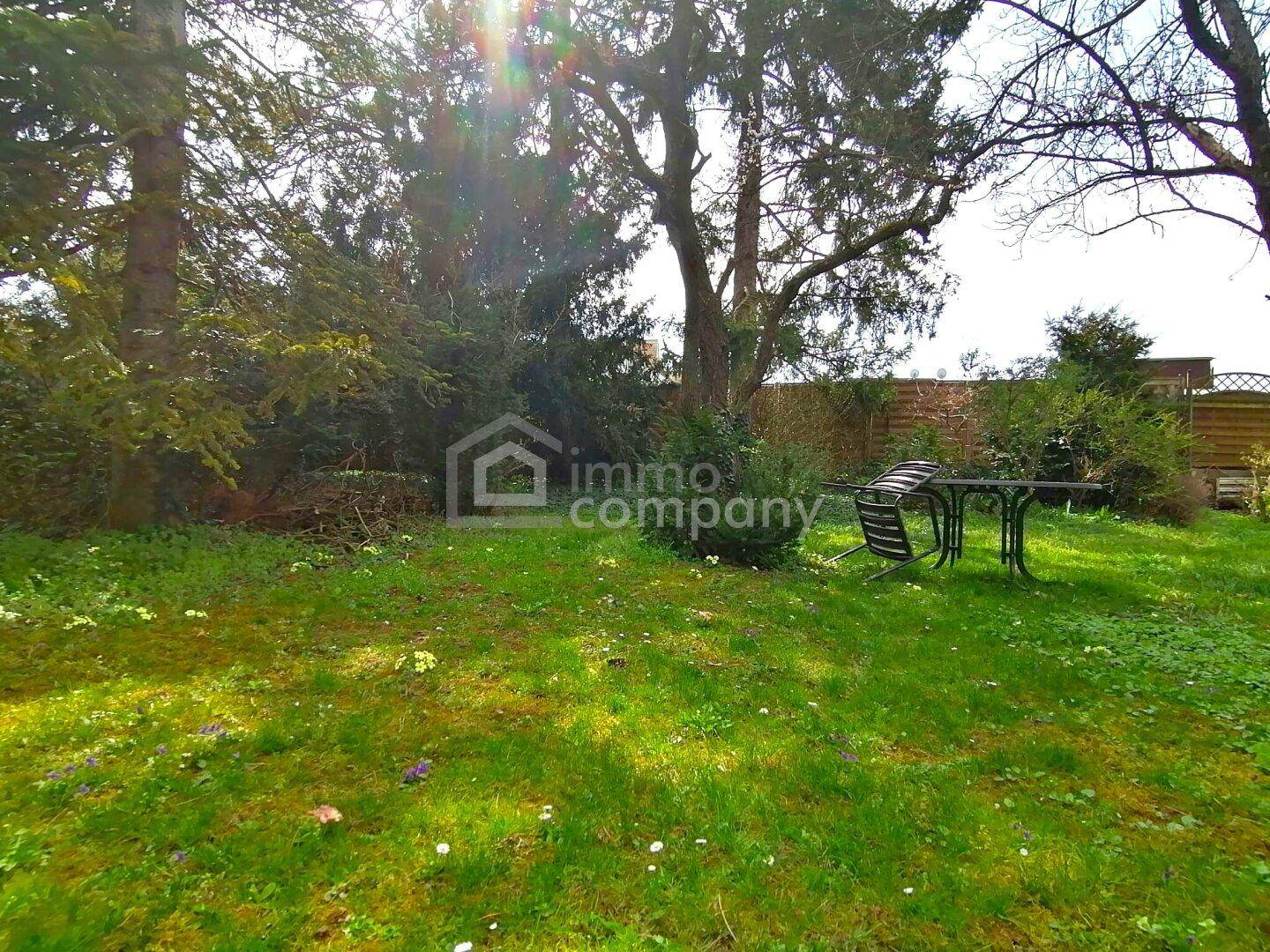 Gepflegter Gartenbereich mit Rasenfläche, altem Baumbestand und einer Sitzgelegenheit im Freien.