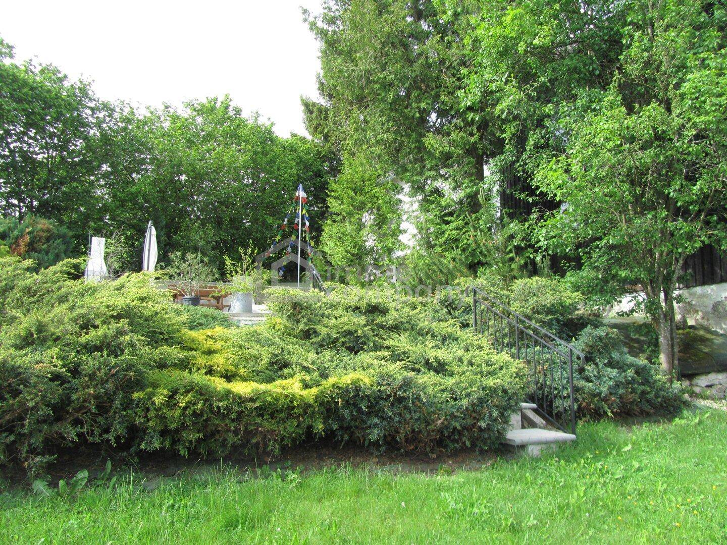 Gepflegter Gartenbereich mit üppiger Bepflanzung, Sträuchern und Bäumen, inklusive einer Treppe.