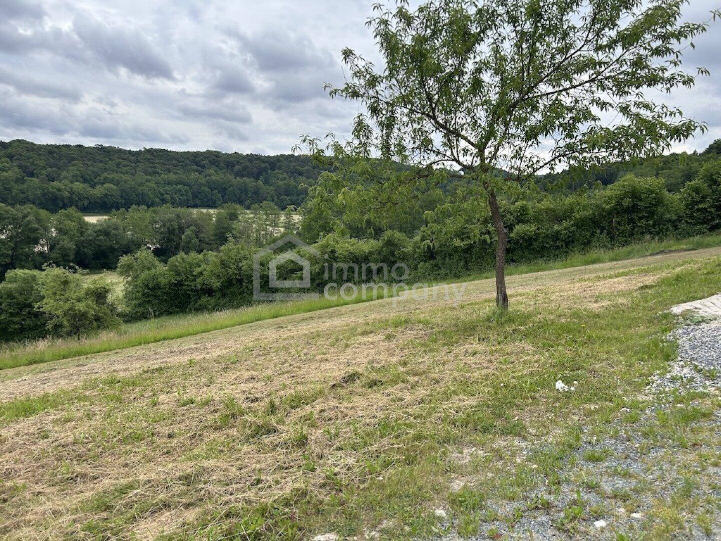 Weitläufige Grünfläche mit einzelnen Bäumen und hügeliger Landschaft im Hintergrund.