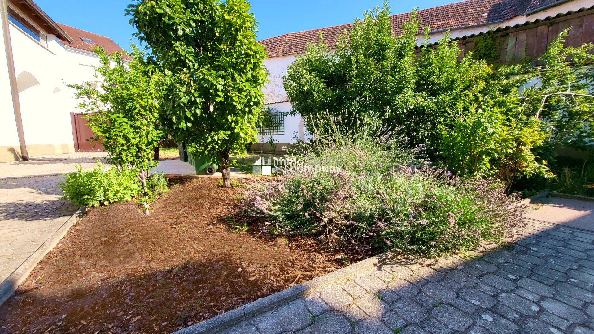 Innenhof_Garten