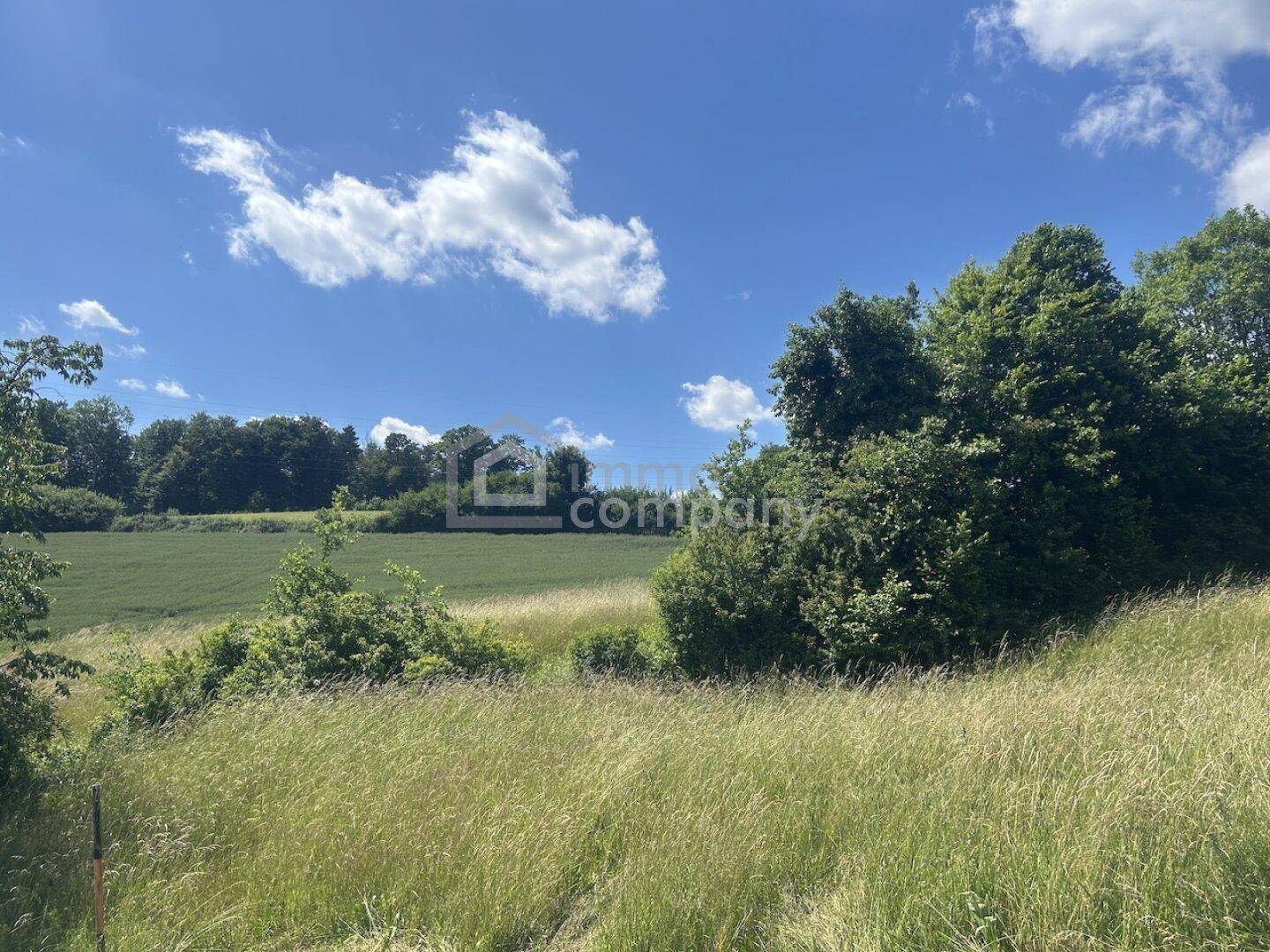 Grüne Hügellandschaft mit Feldern und Bäumen unter einem strahlend blauen Himmel.