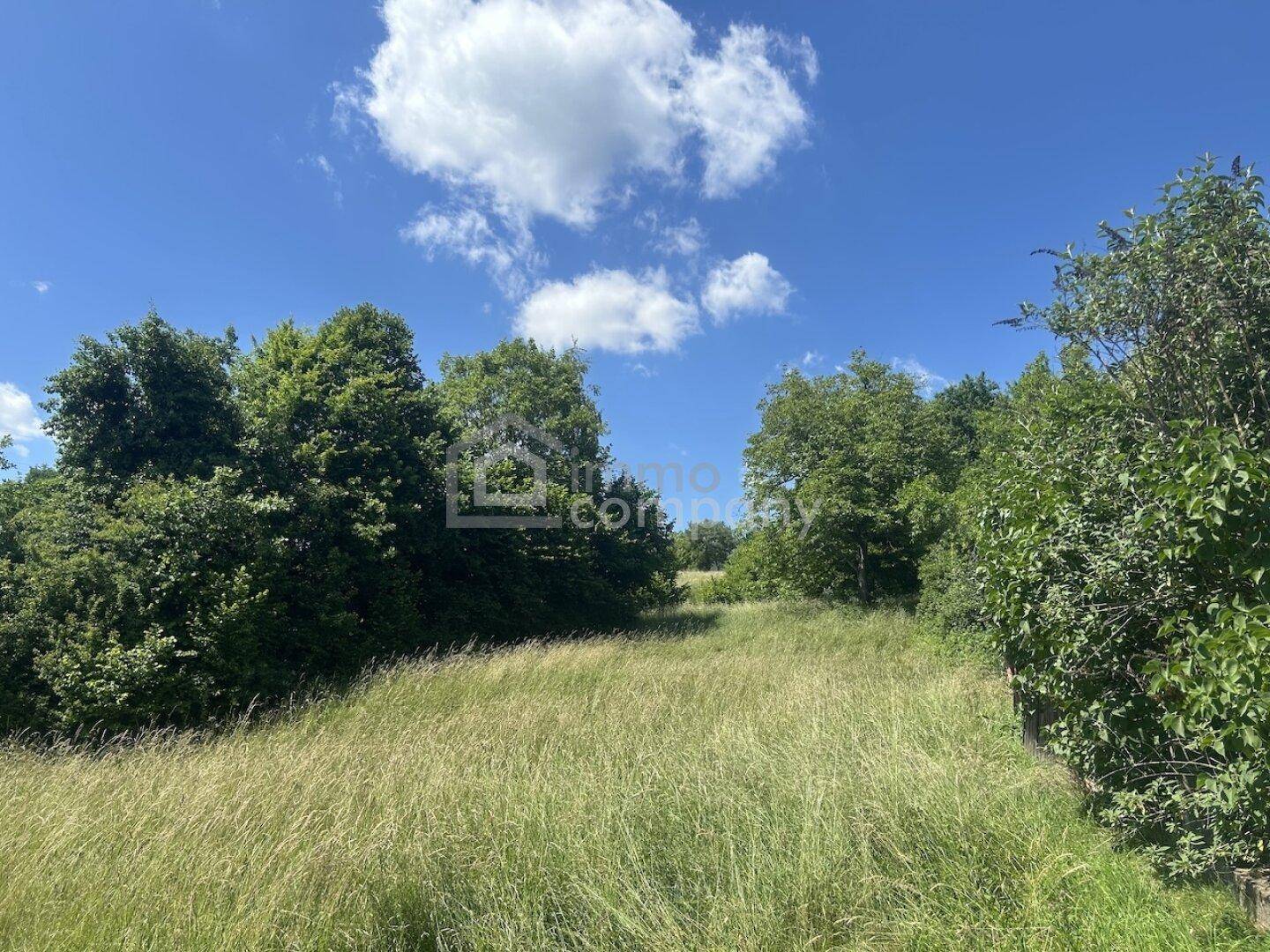 Üppige grüne Wiesen und dichte Bäume prägen die idyllische Landschaft an einem sonnigen Tag.