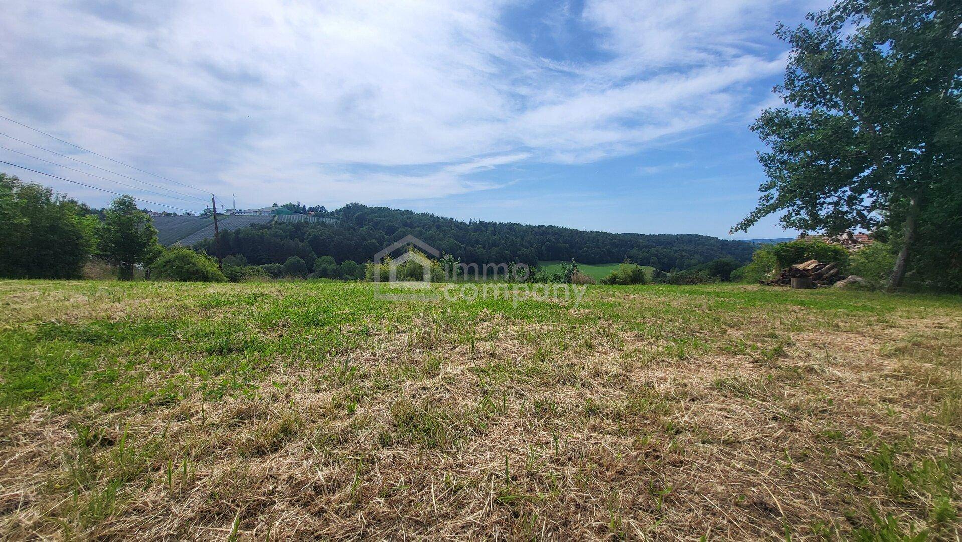 Offenes Feld mit weitem Blick über die hügelige Landschaft unter einem bewölkten Himmel.
