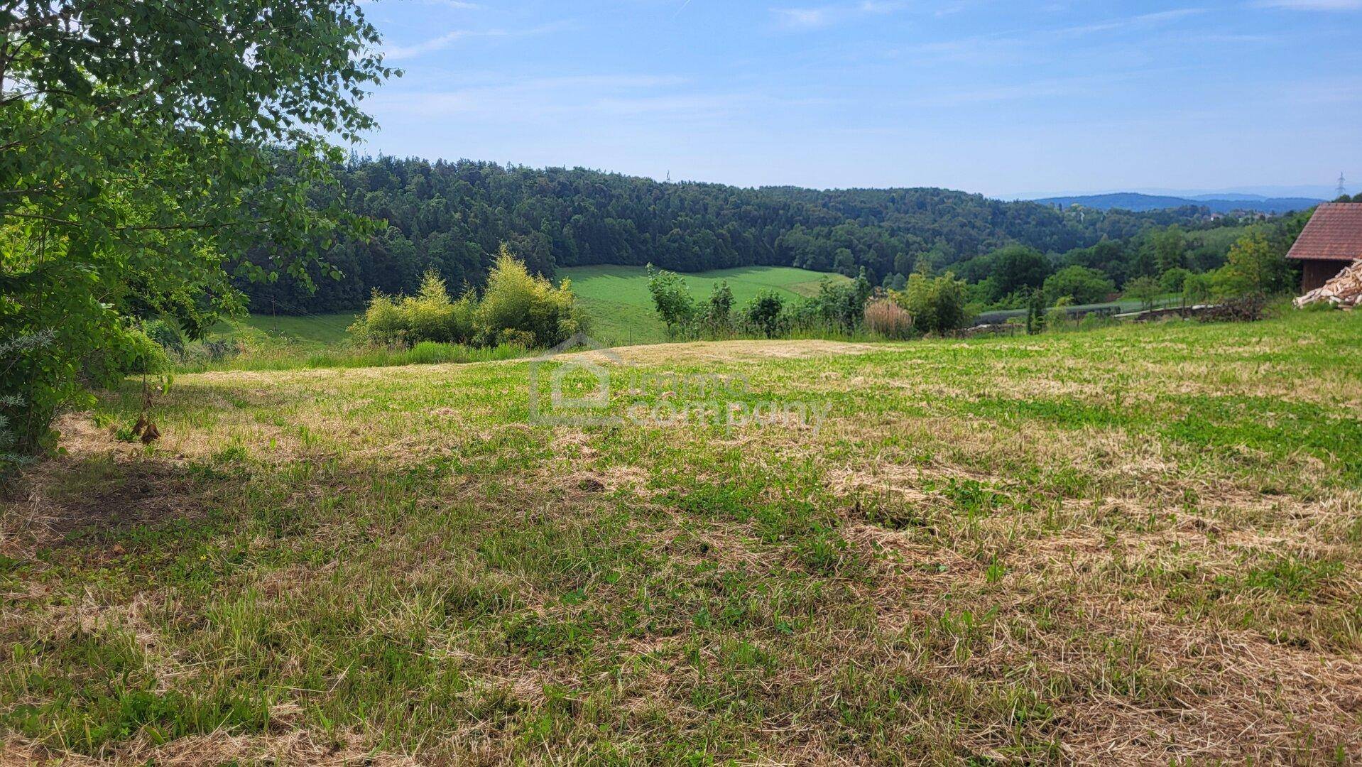 Wohnen mit Ausblick – attraktiver Baugrund nahe Graz - Ansicht 2