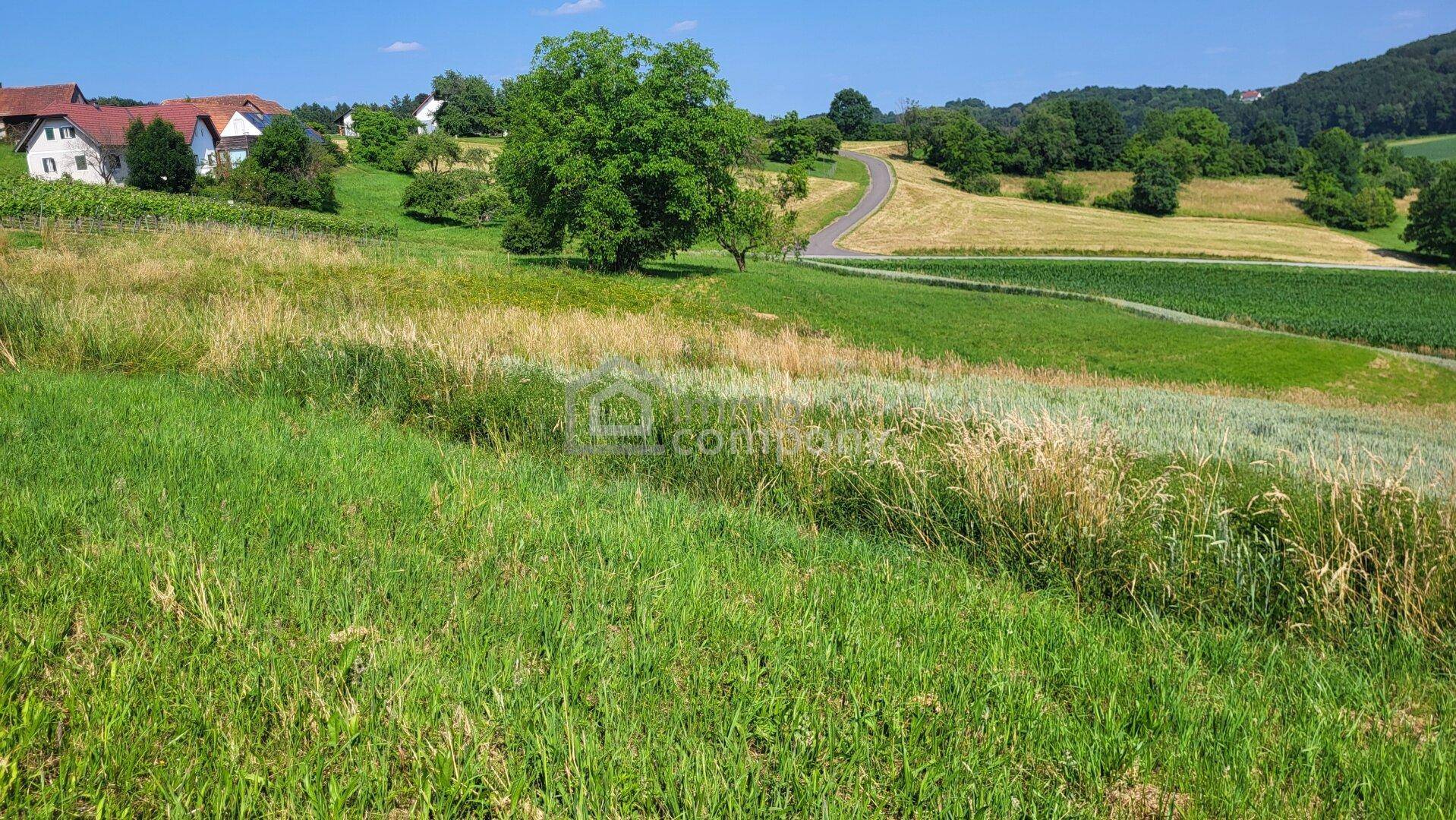 Sonniges Grundstück in Kirchberg an der Raab mit herrlicher Aussicht - Ansicht 2