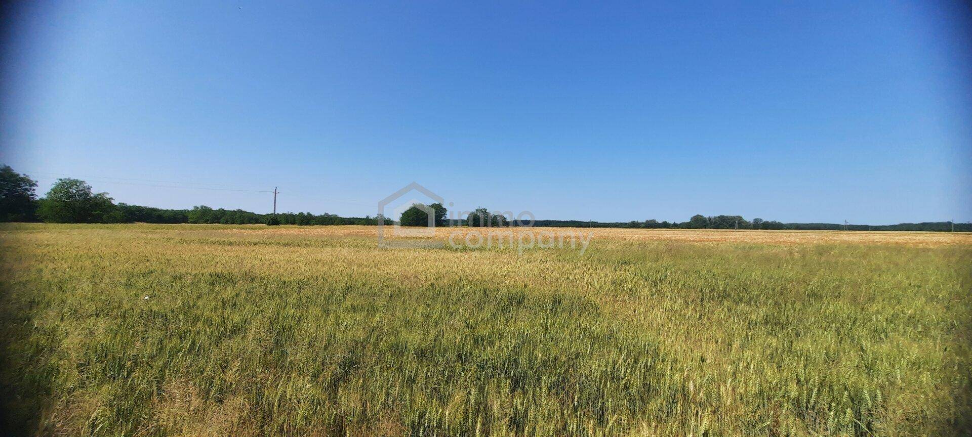 Fernblick vom Grund