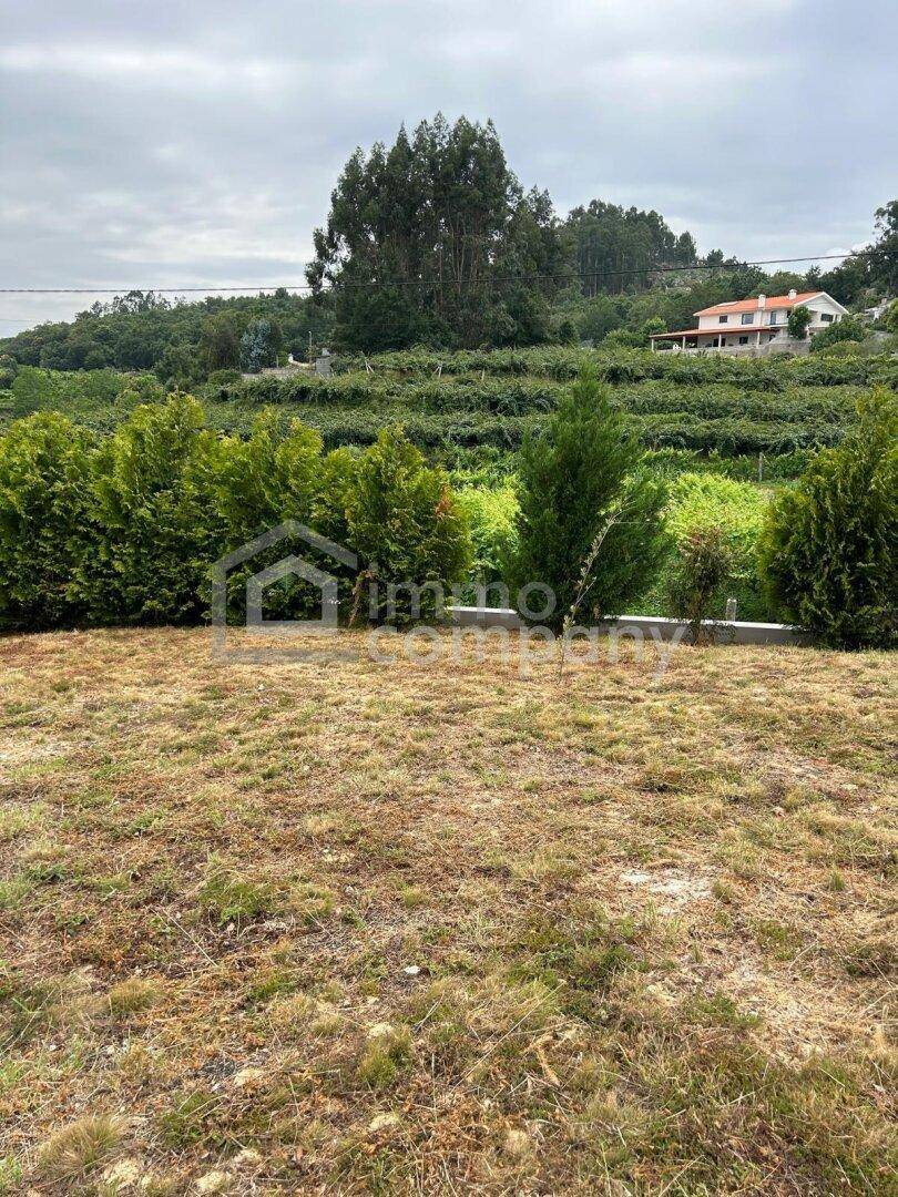 Weitläufige grüne Landschaft mit Weinbergen und einem Haus in der Ferne unter bewölktem Himmel.