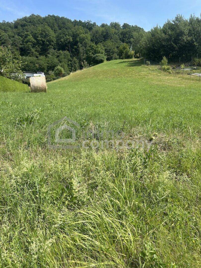 Grüne Hügellandschaft mit dichtem Baumbestand und weitem Blick unter strahlend blauem Himmel.
