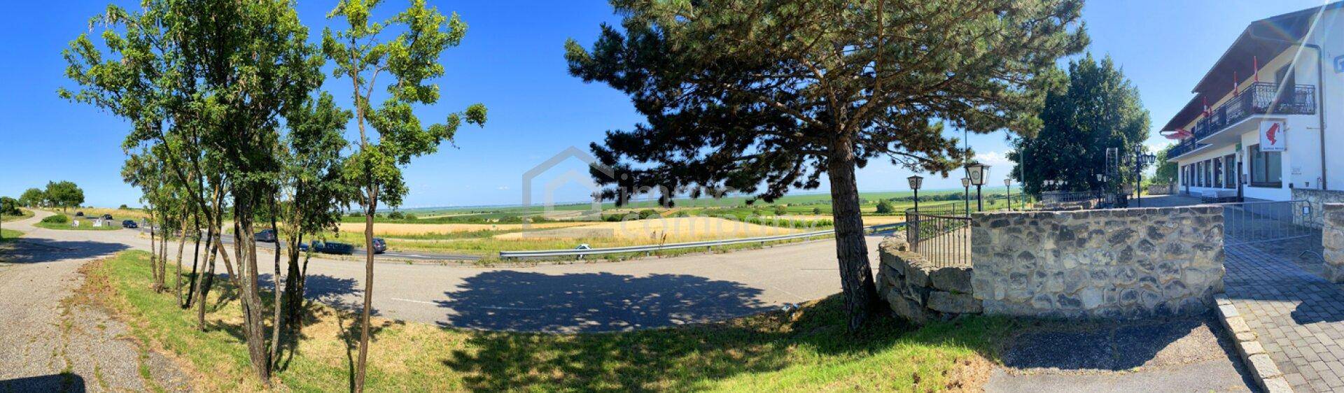 Panoramablick auf einen Außenbereich mit Bäumen, einer Steinmauer und weitem Blick über die Felder.